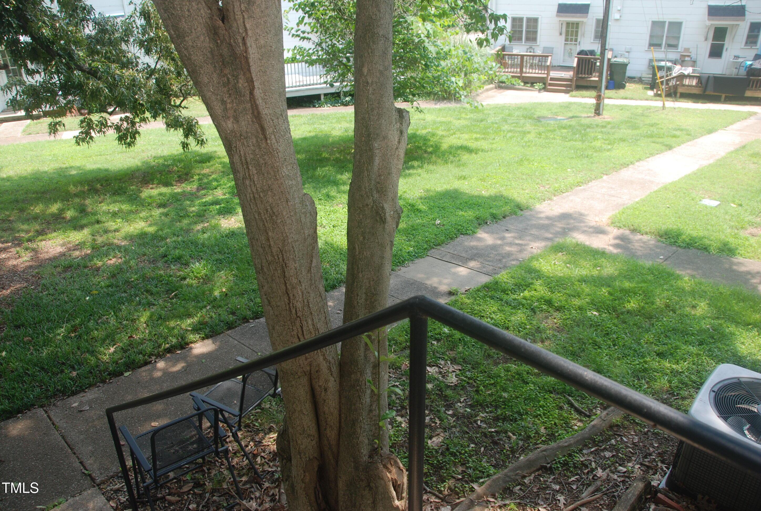 Photo #15