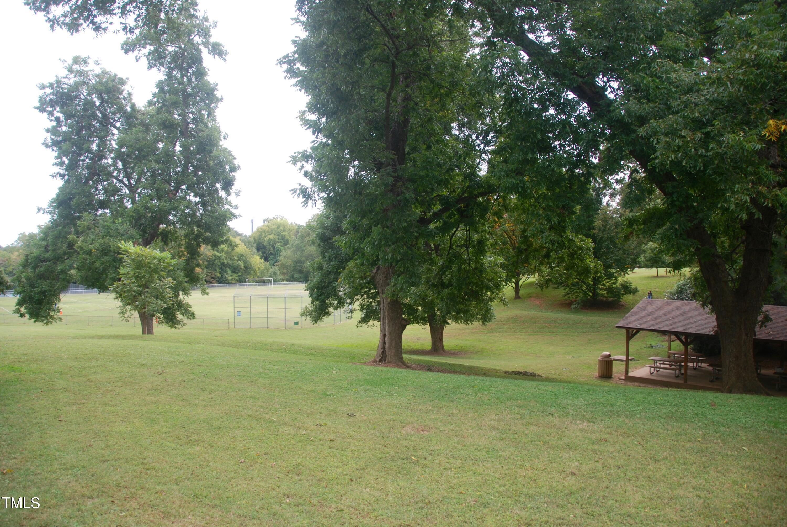 Photo #29