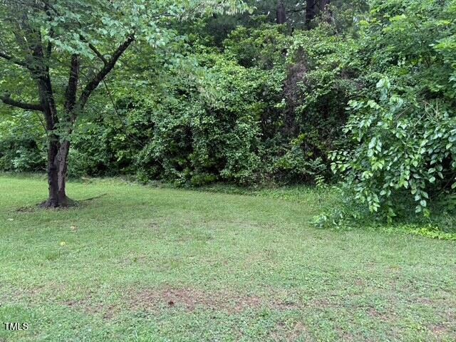 Photo #24