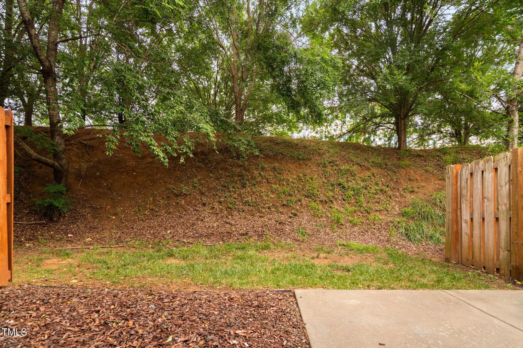 Photo #27