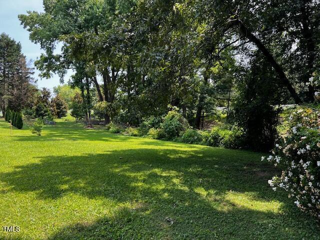 Photo #3
