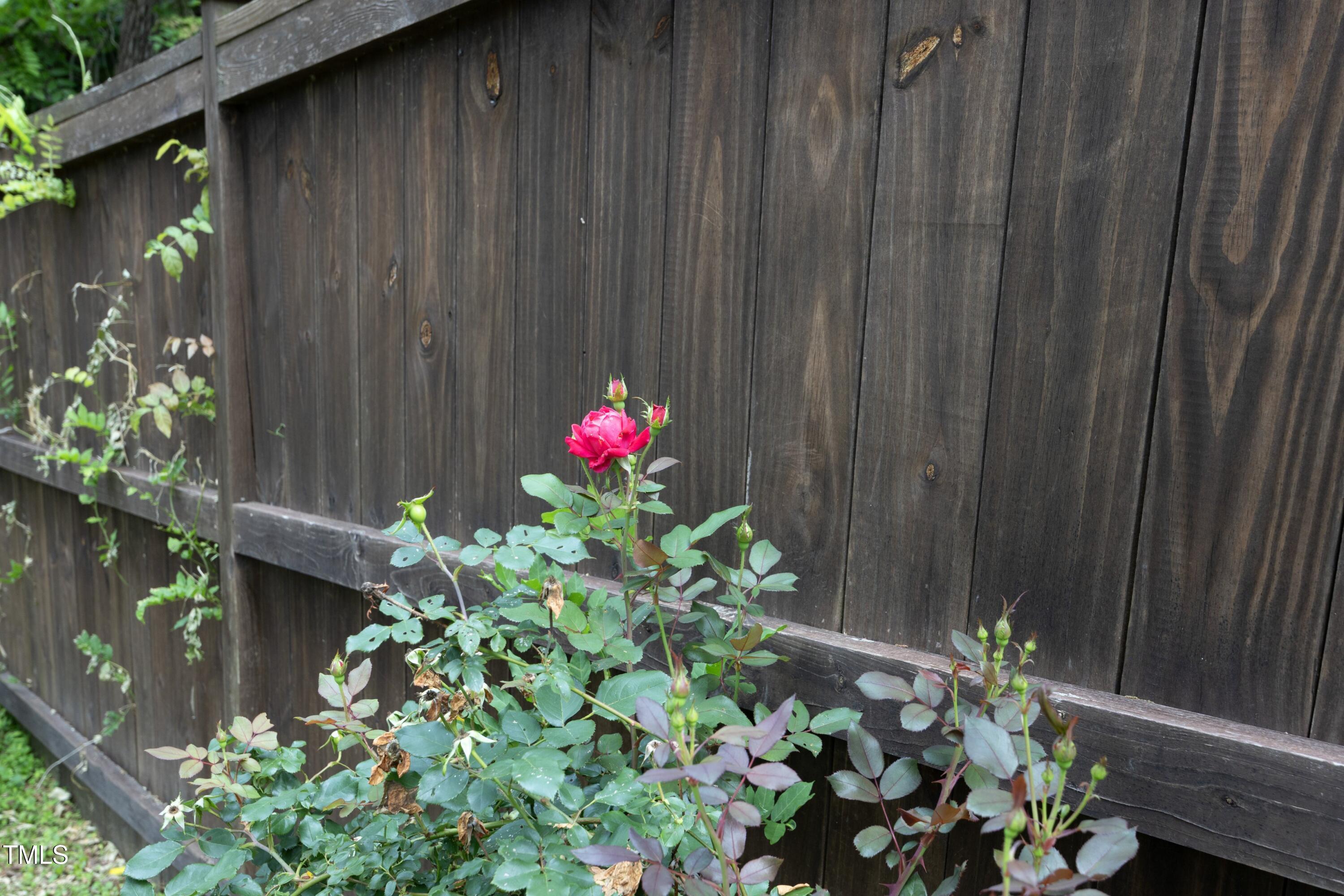 Photo #32