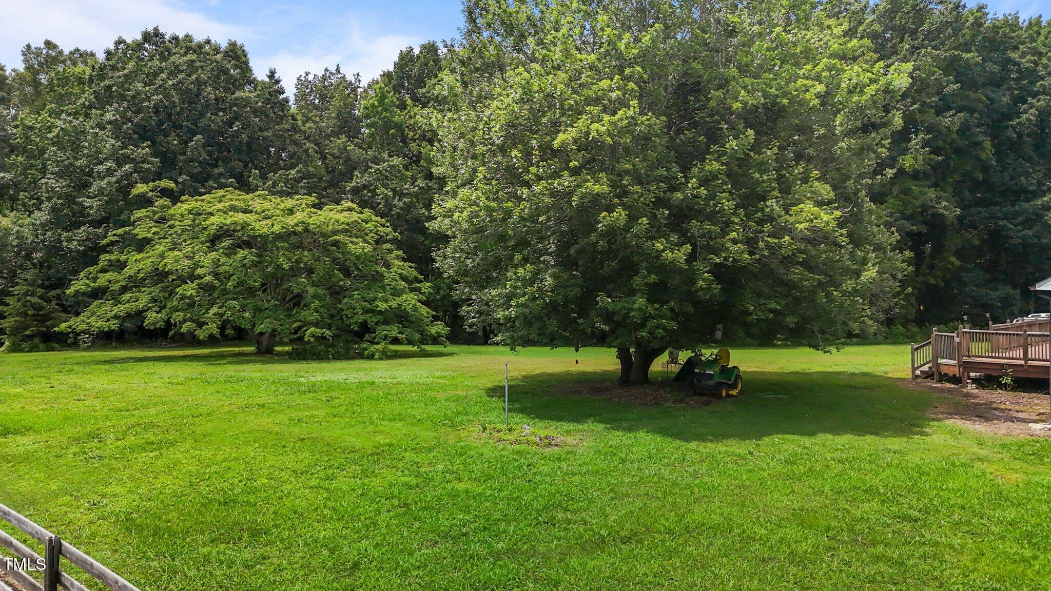 Photo #46