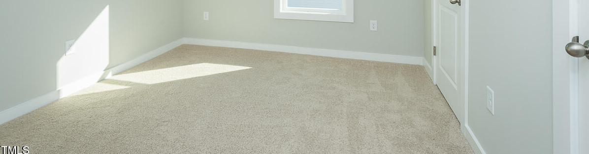 Photo #14