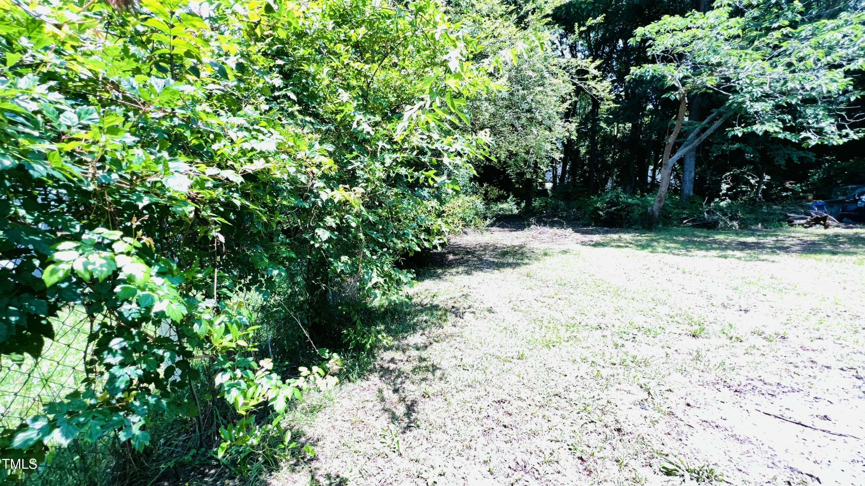 Photo #38
