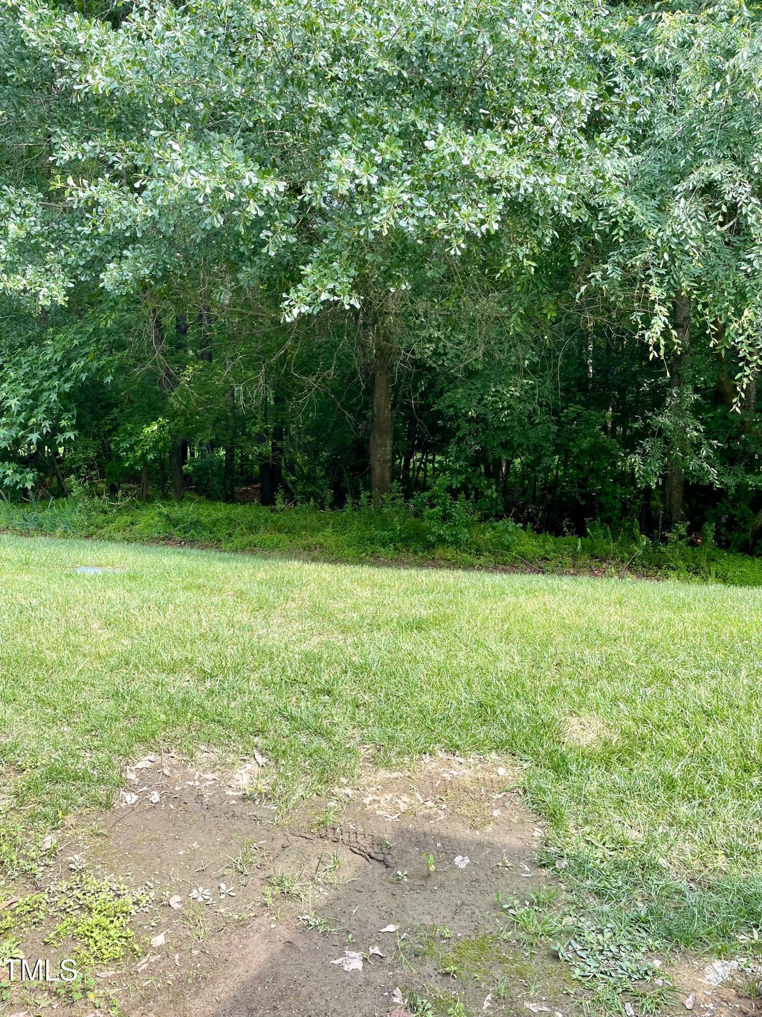Photo #14