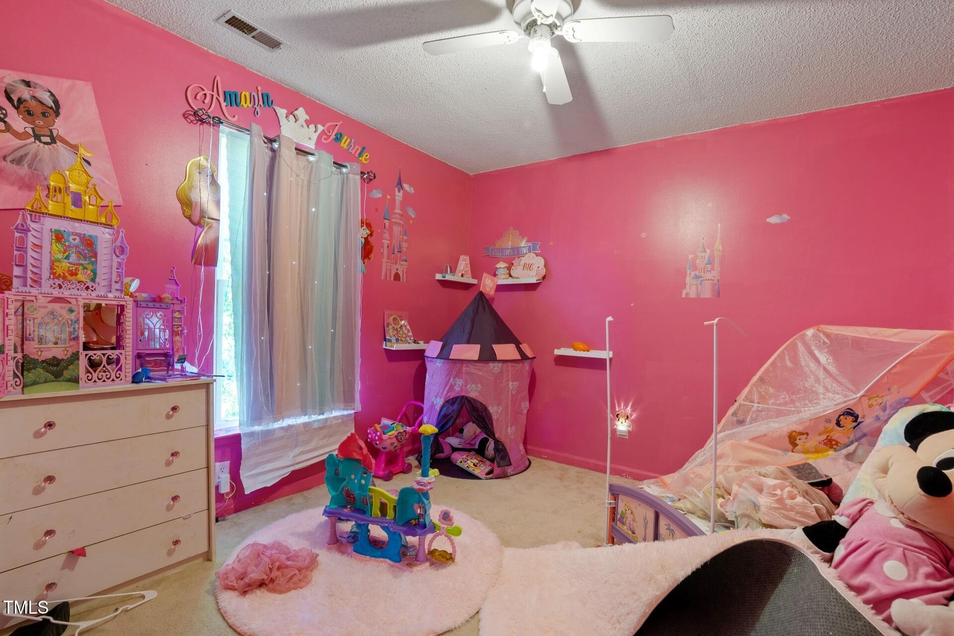 Photo #12