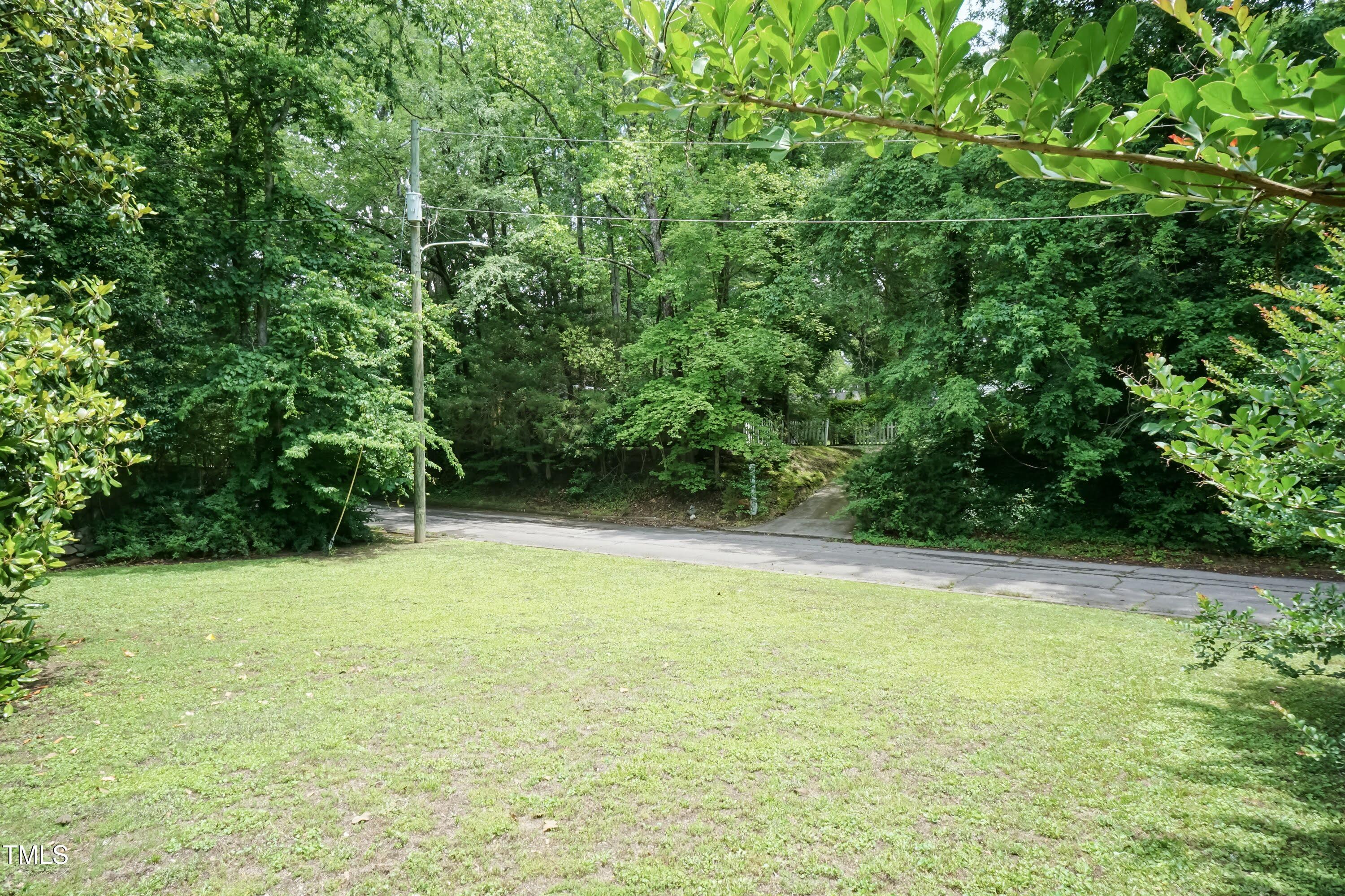 Photo #46
