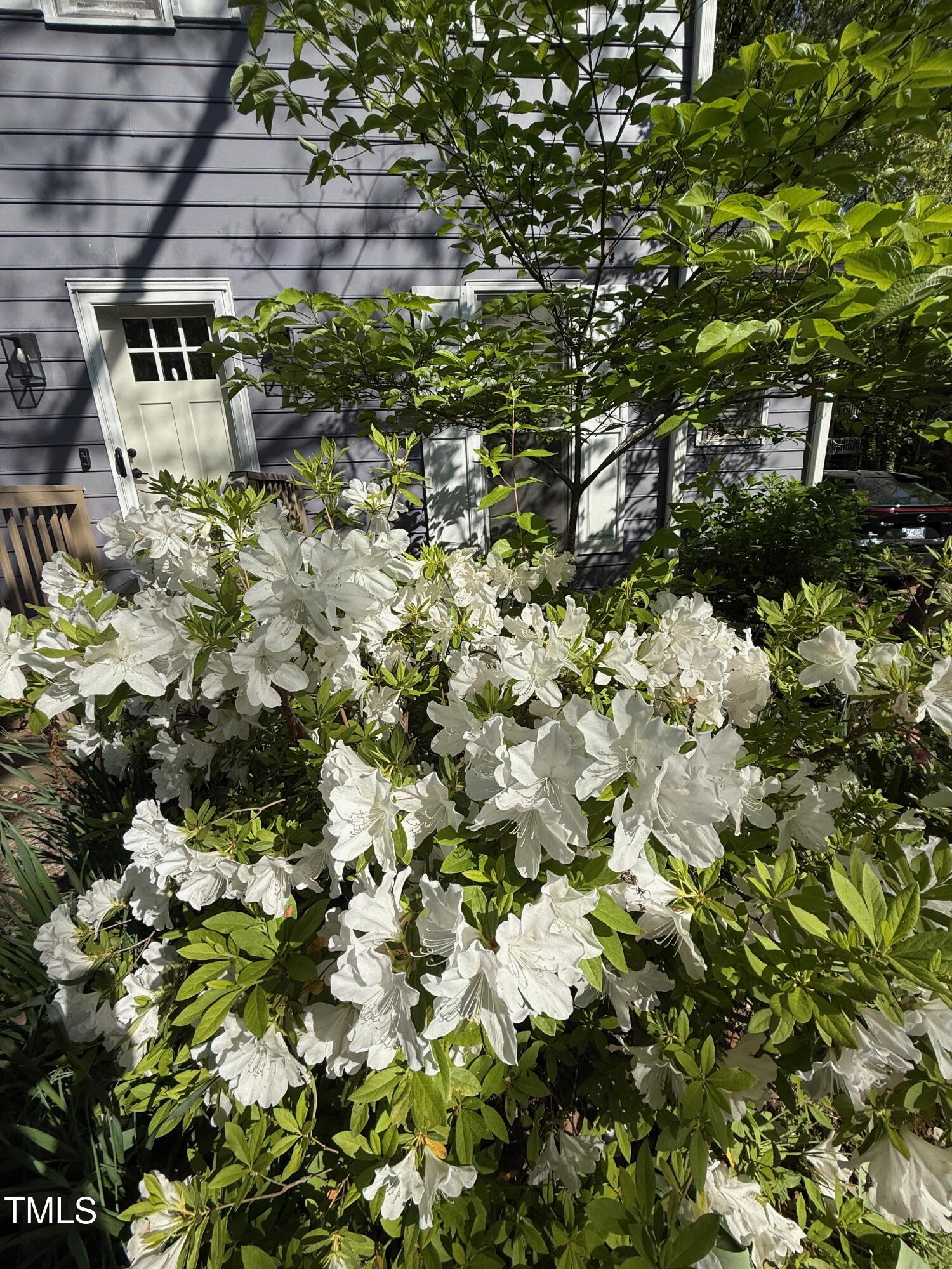 Photo #37
