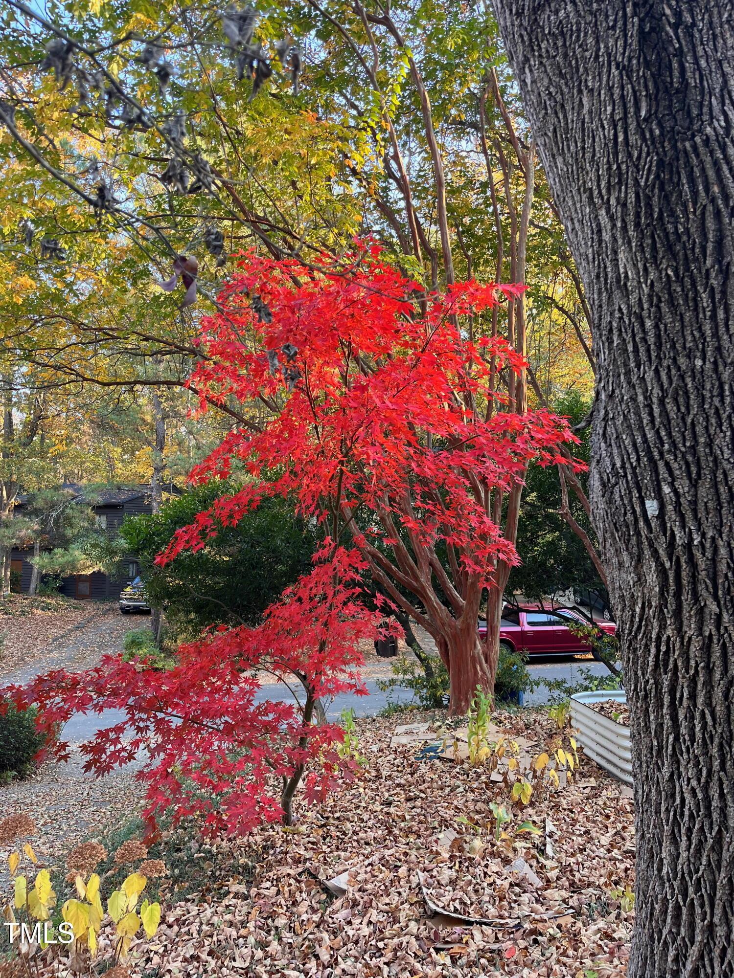 Photo #46