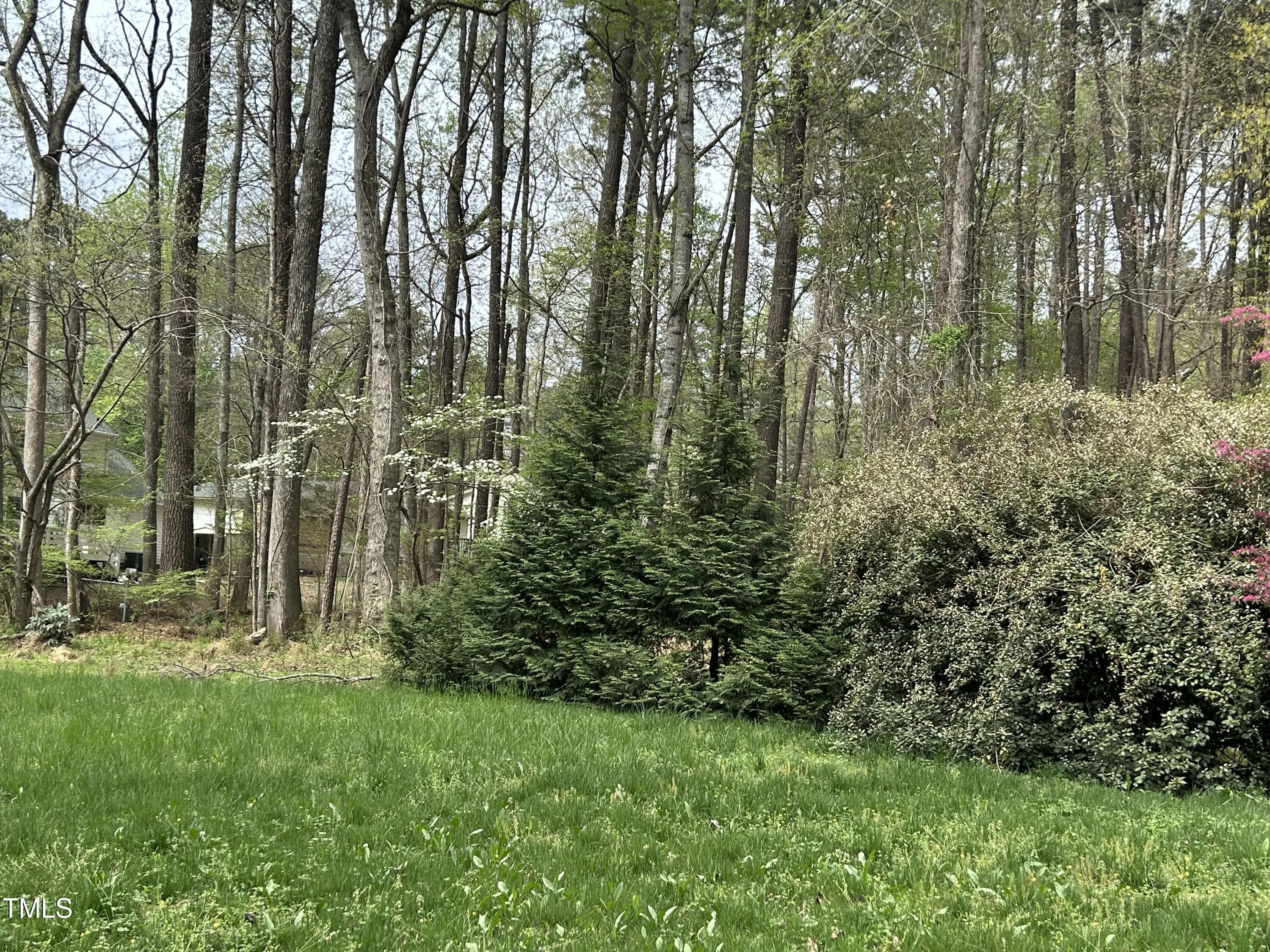 Photo #24
