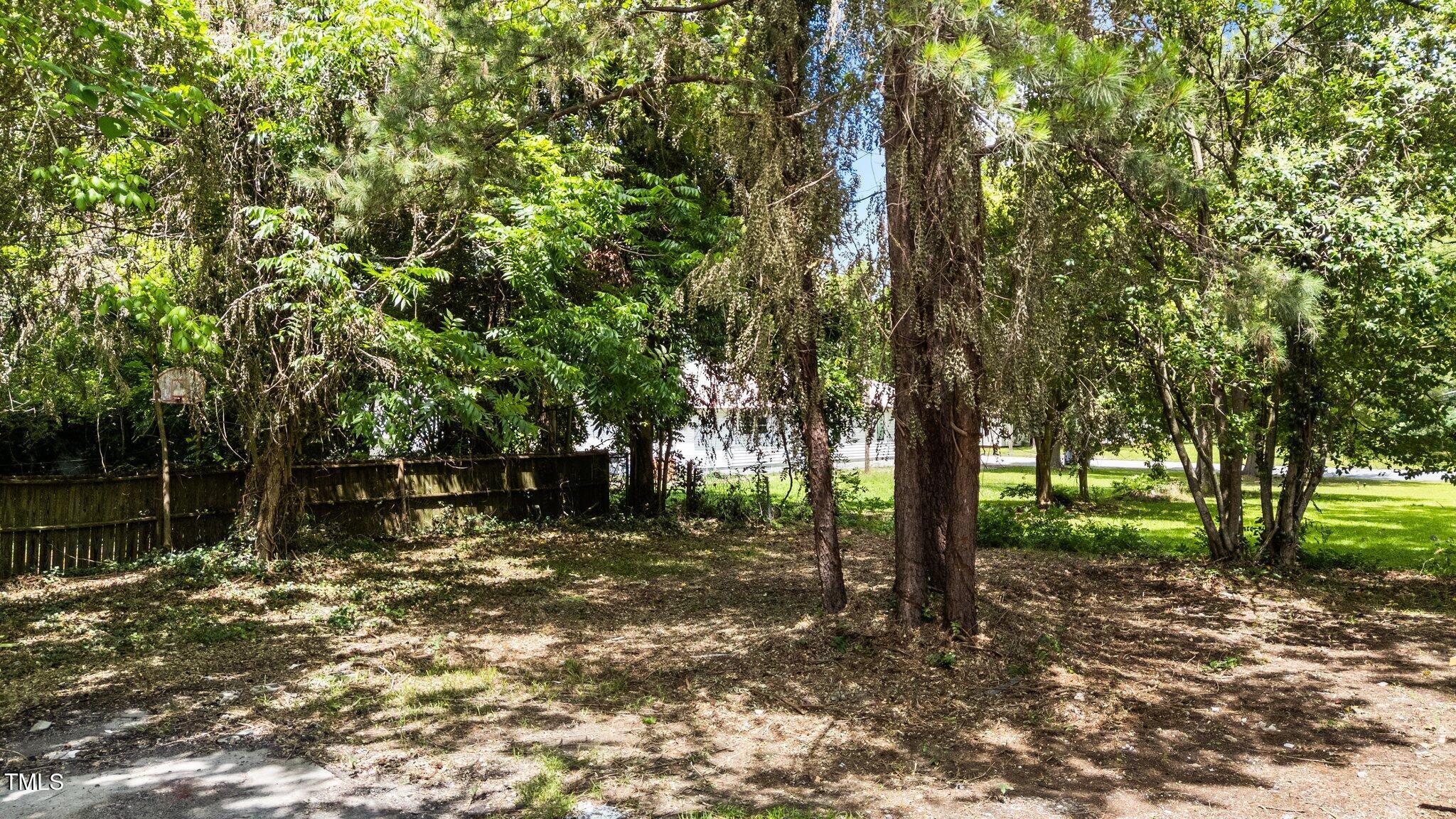 Photo #31