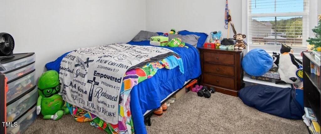 Photo #23