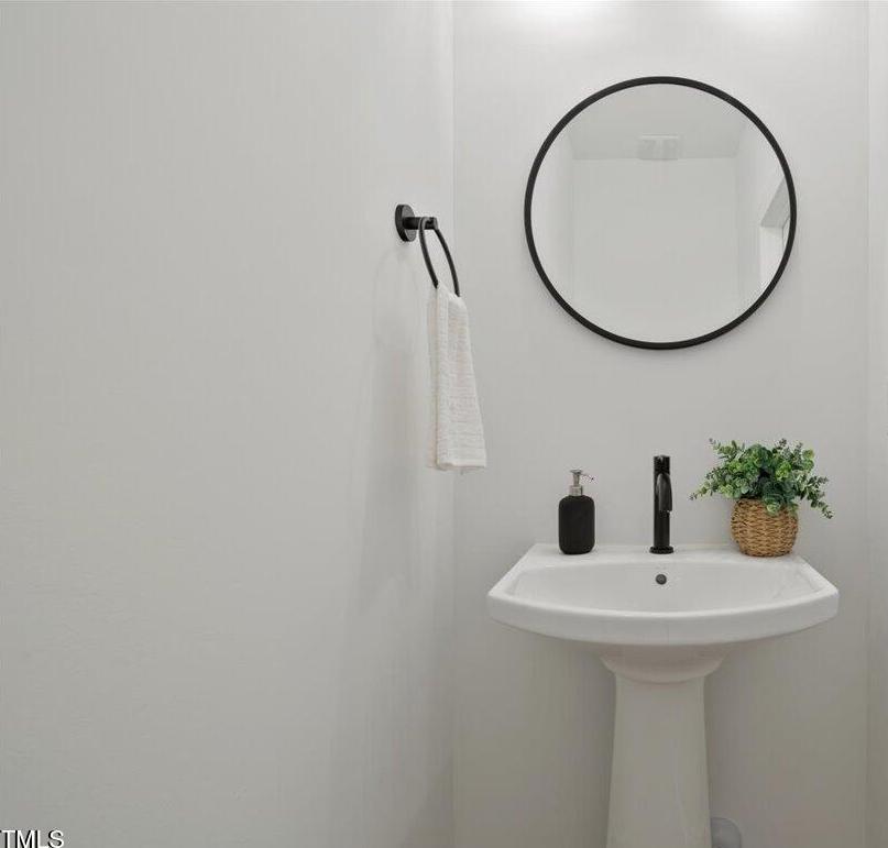 Photo #15