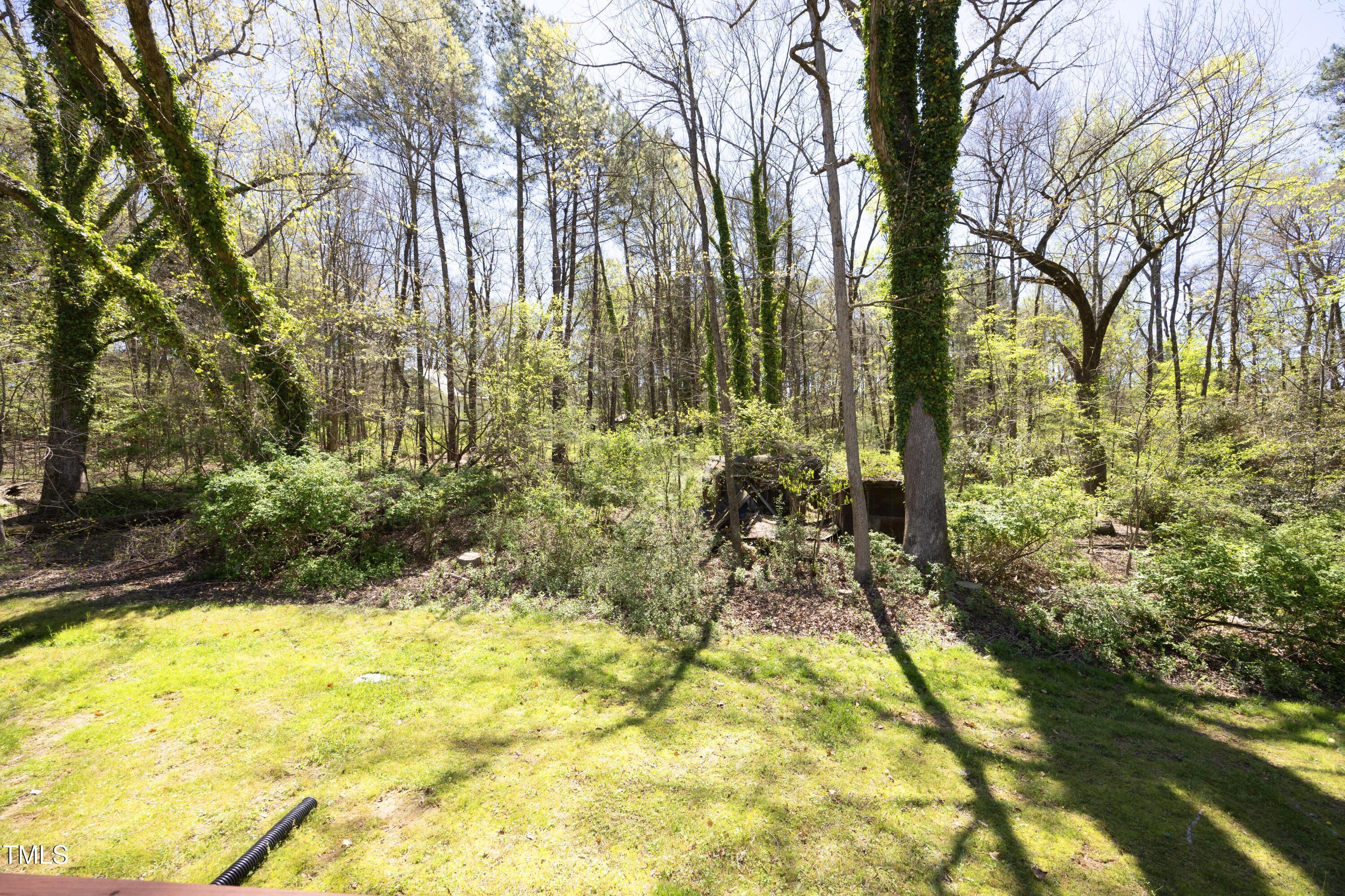 Photo #24