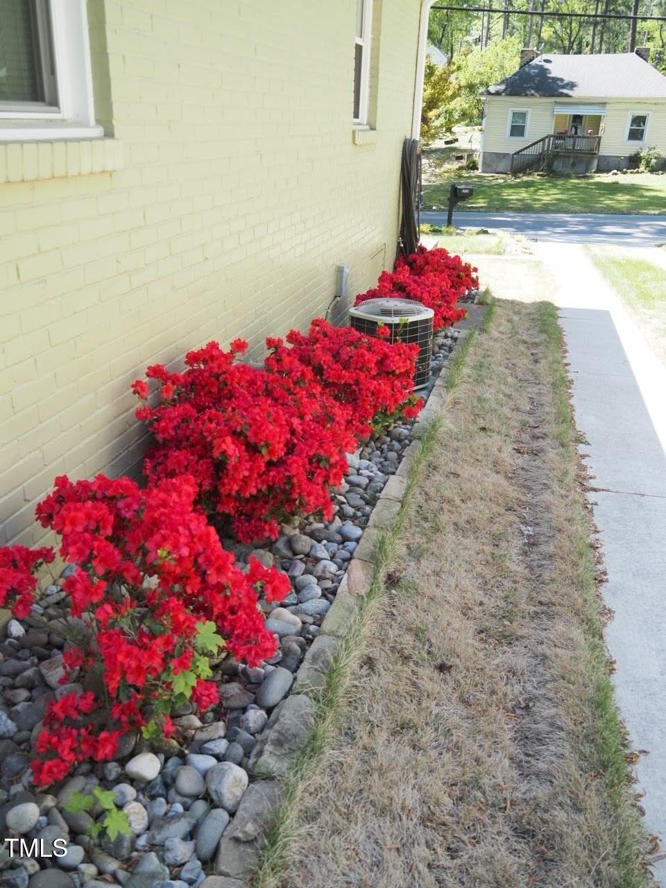 Photo #23