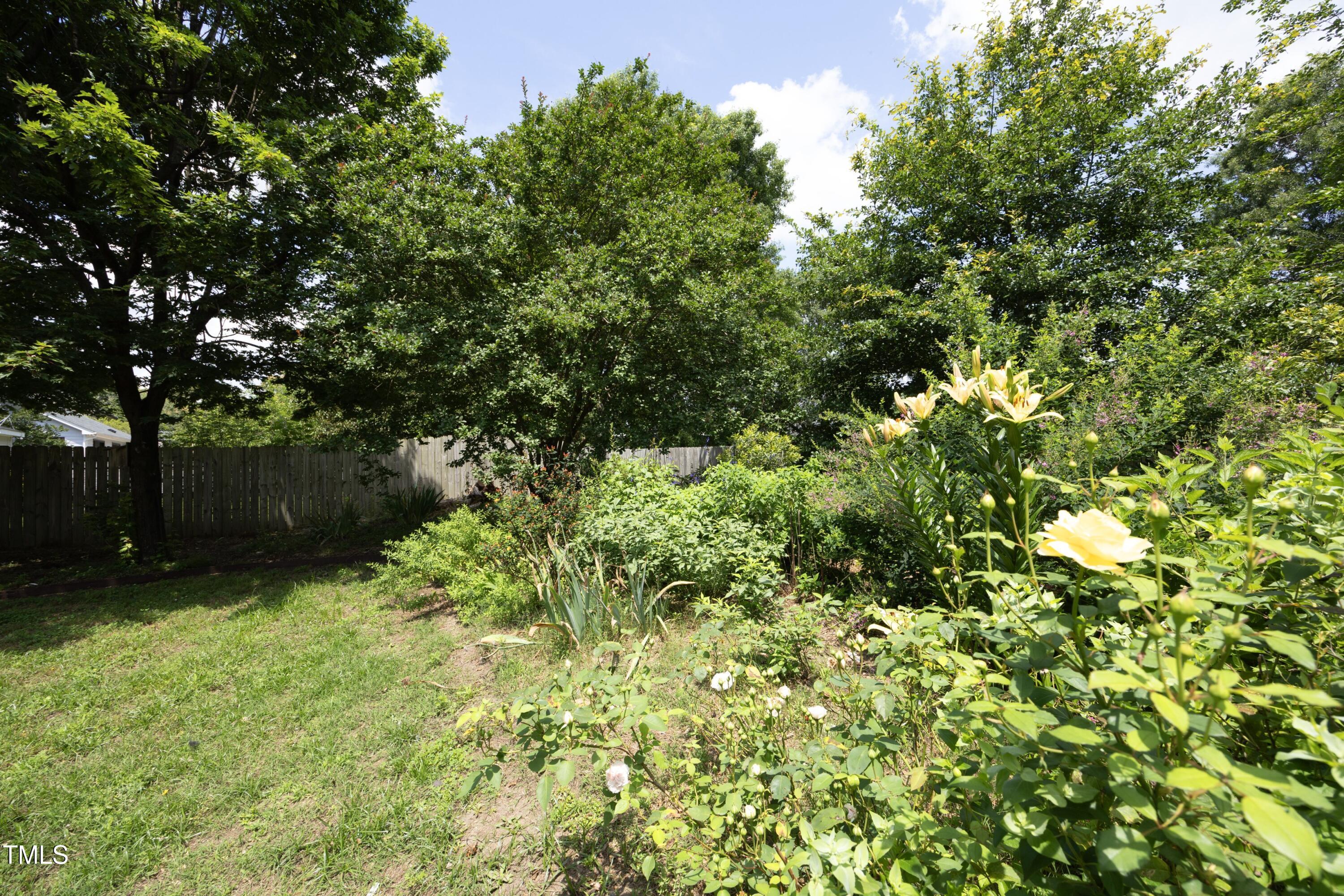 Photo #32