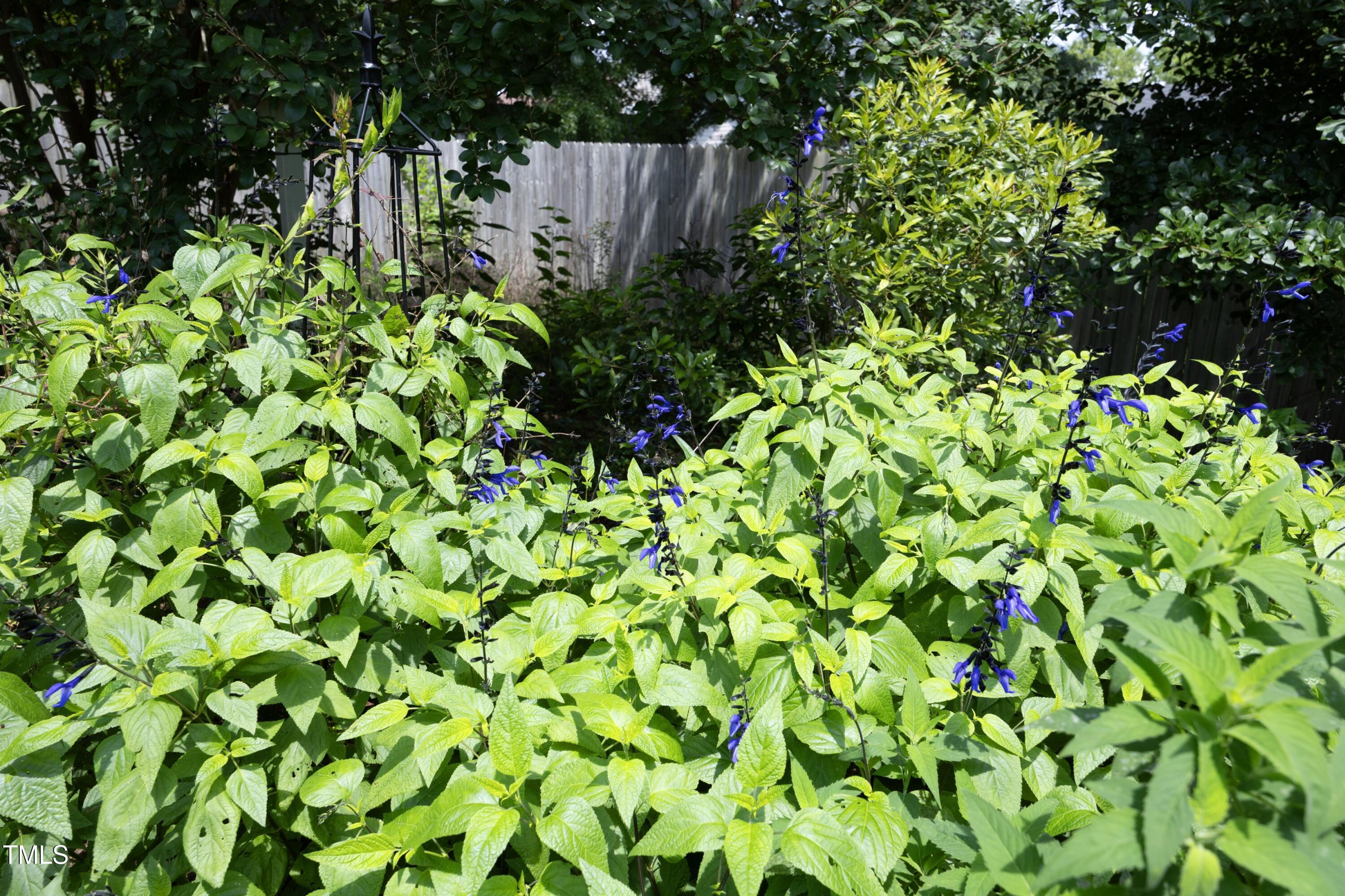 Photo #34