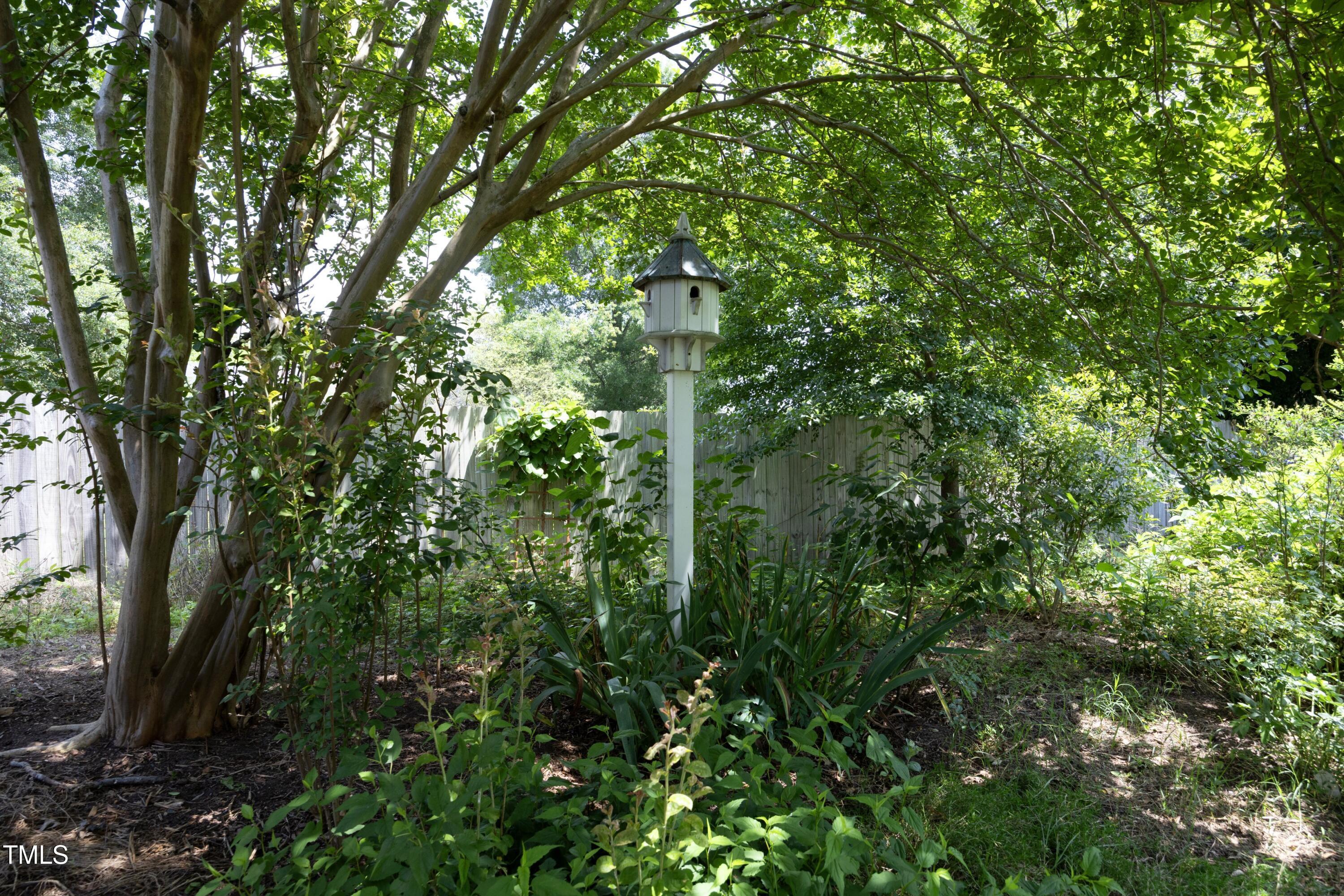 Photo #38