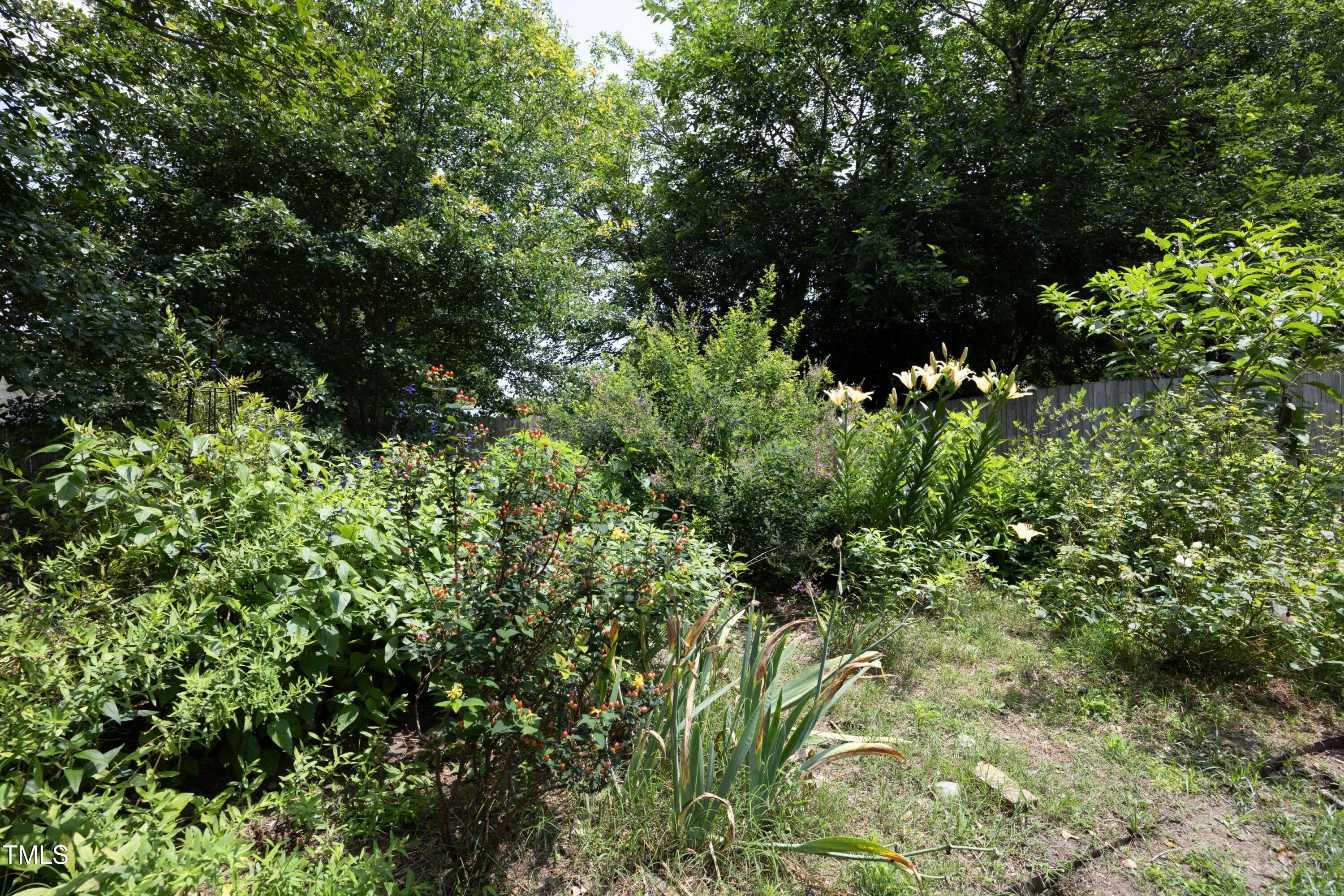 Photo #35