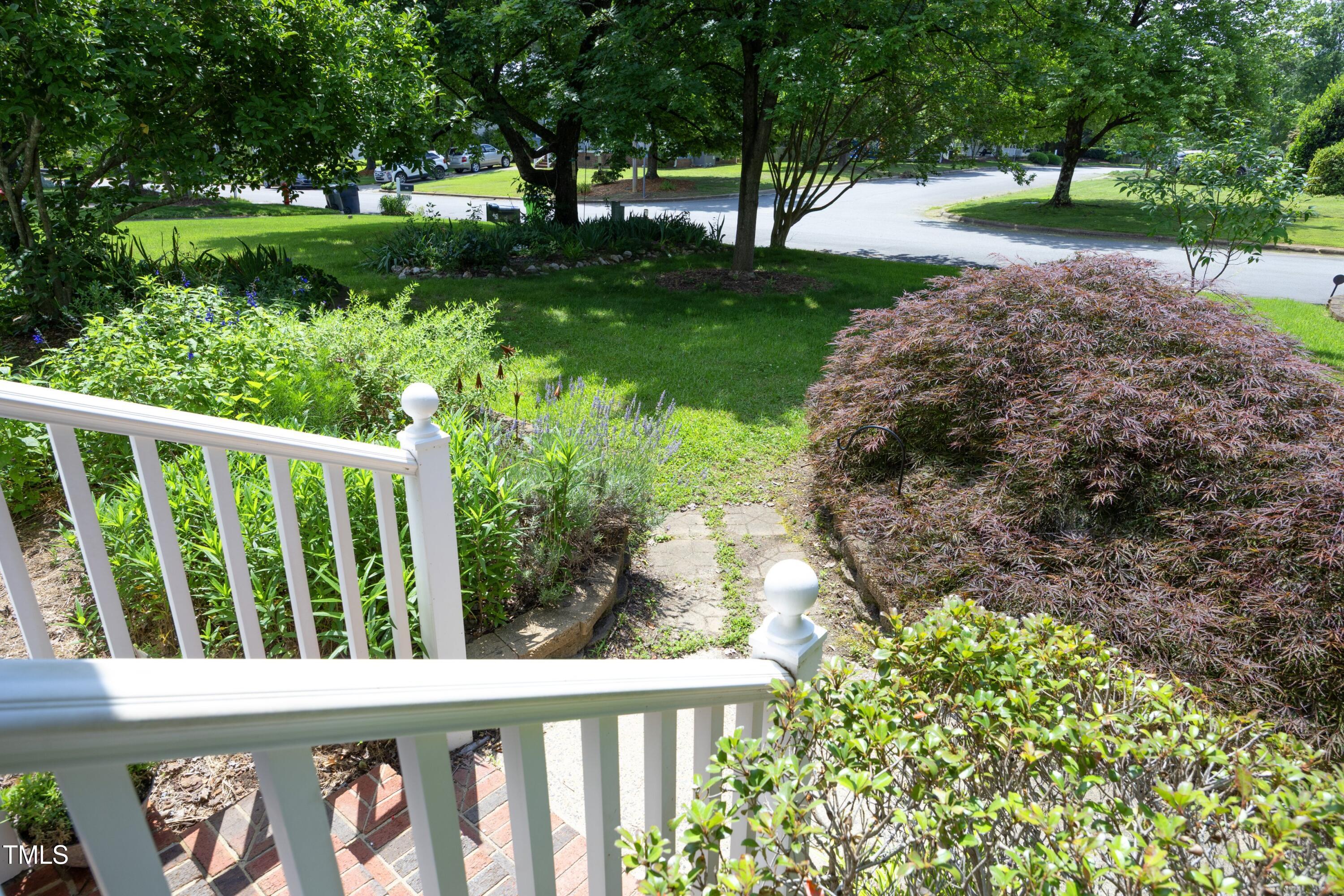Photo #4