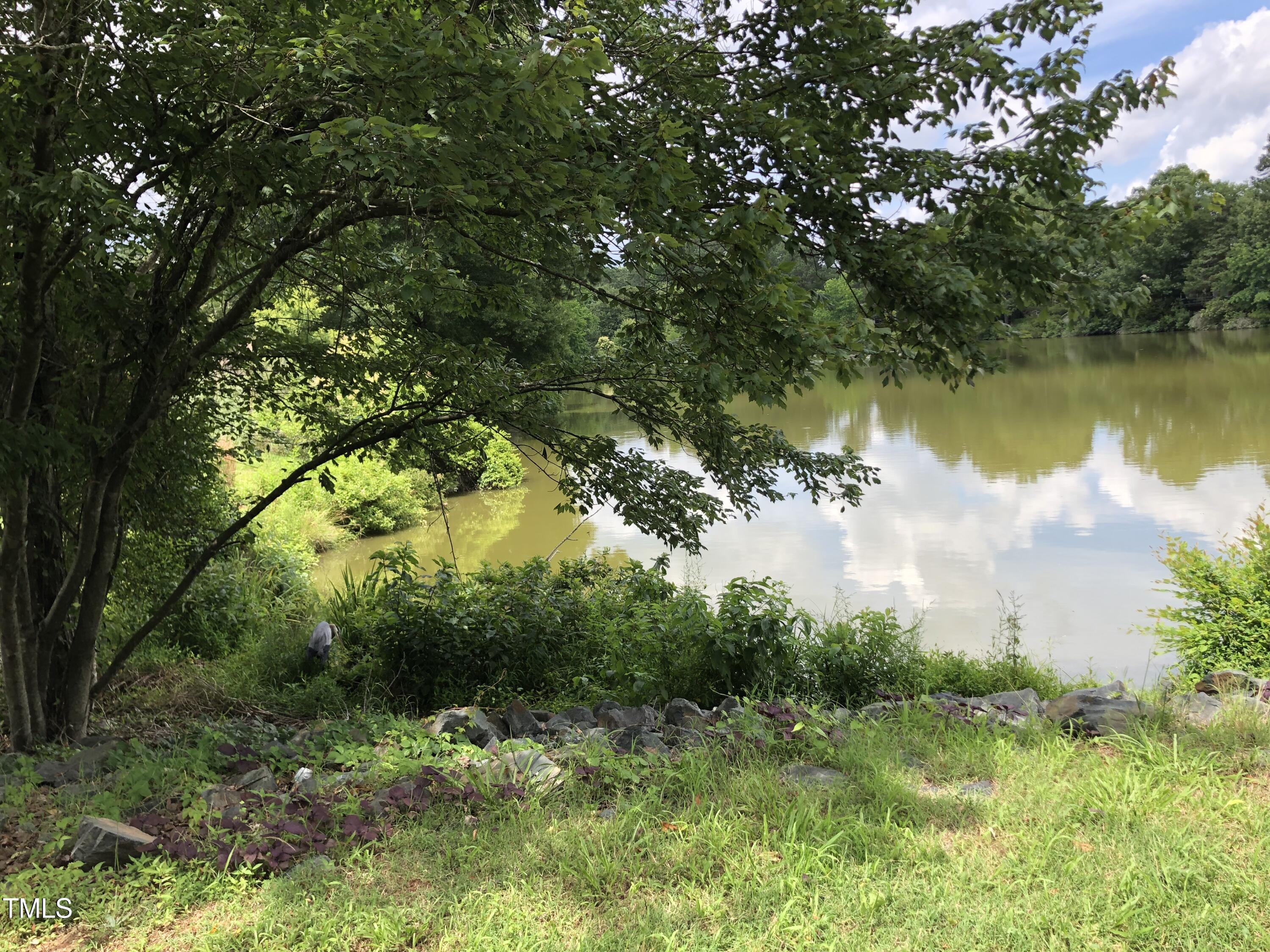 Photo #21