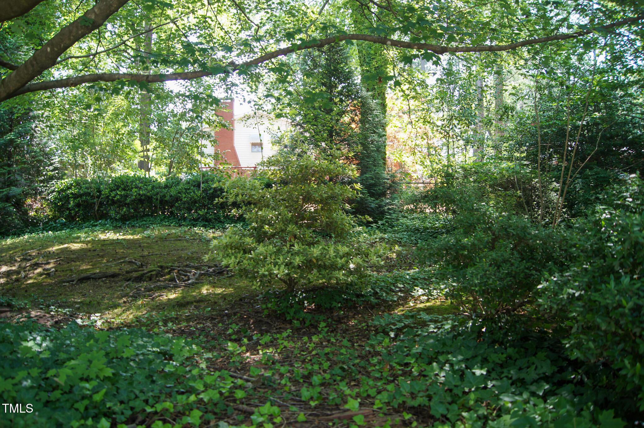 Photo #47