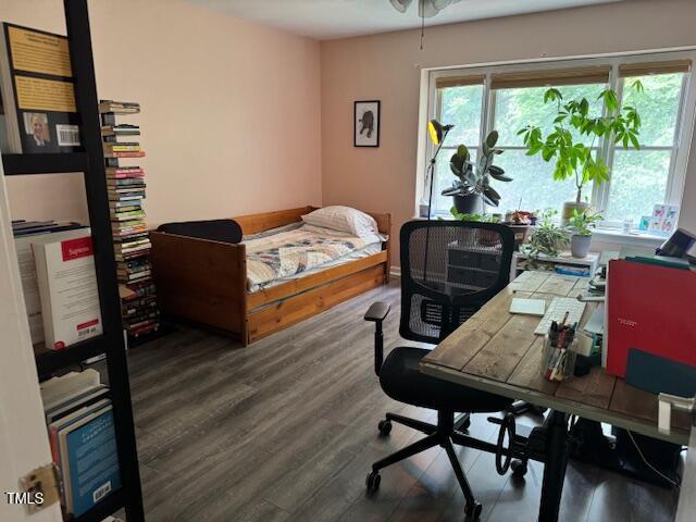 Photo #14