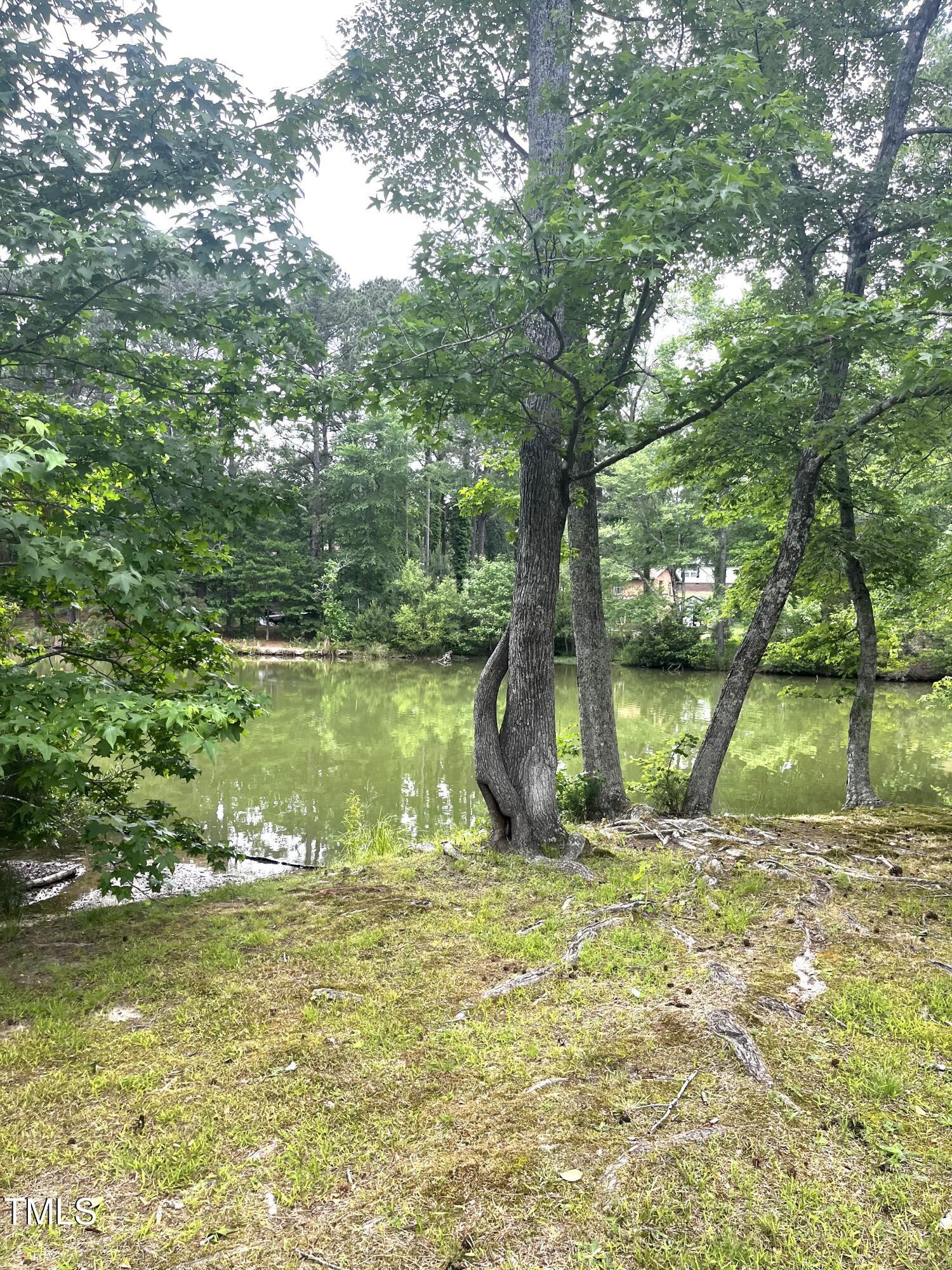 Photo #15