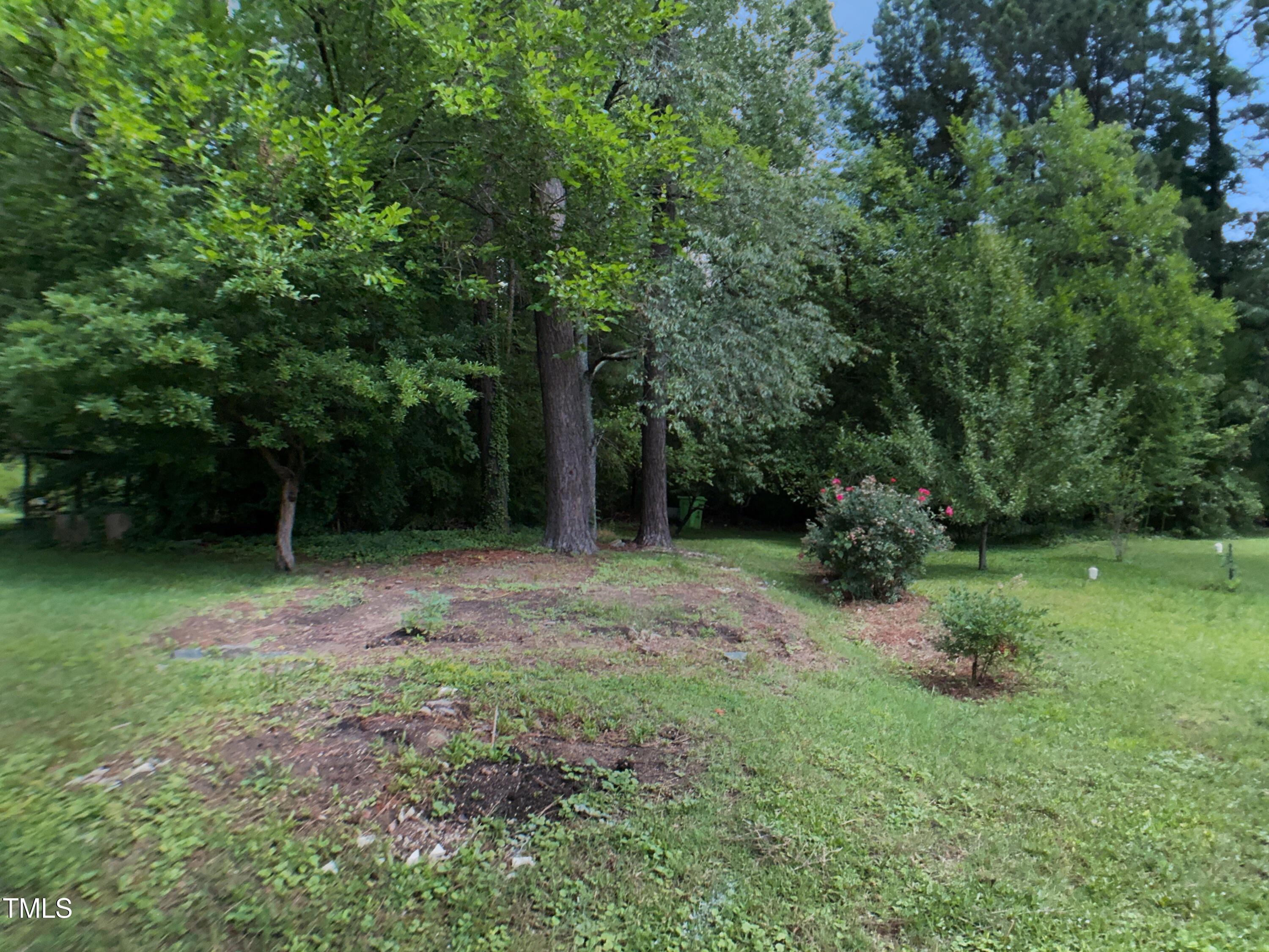 Photo #23