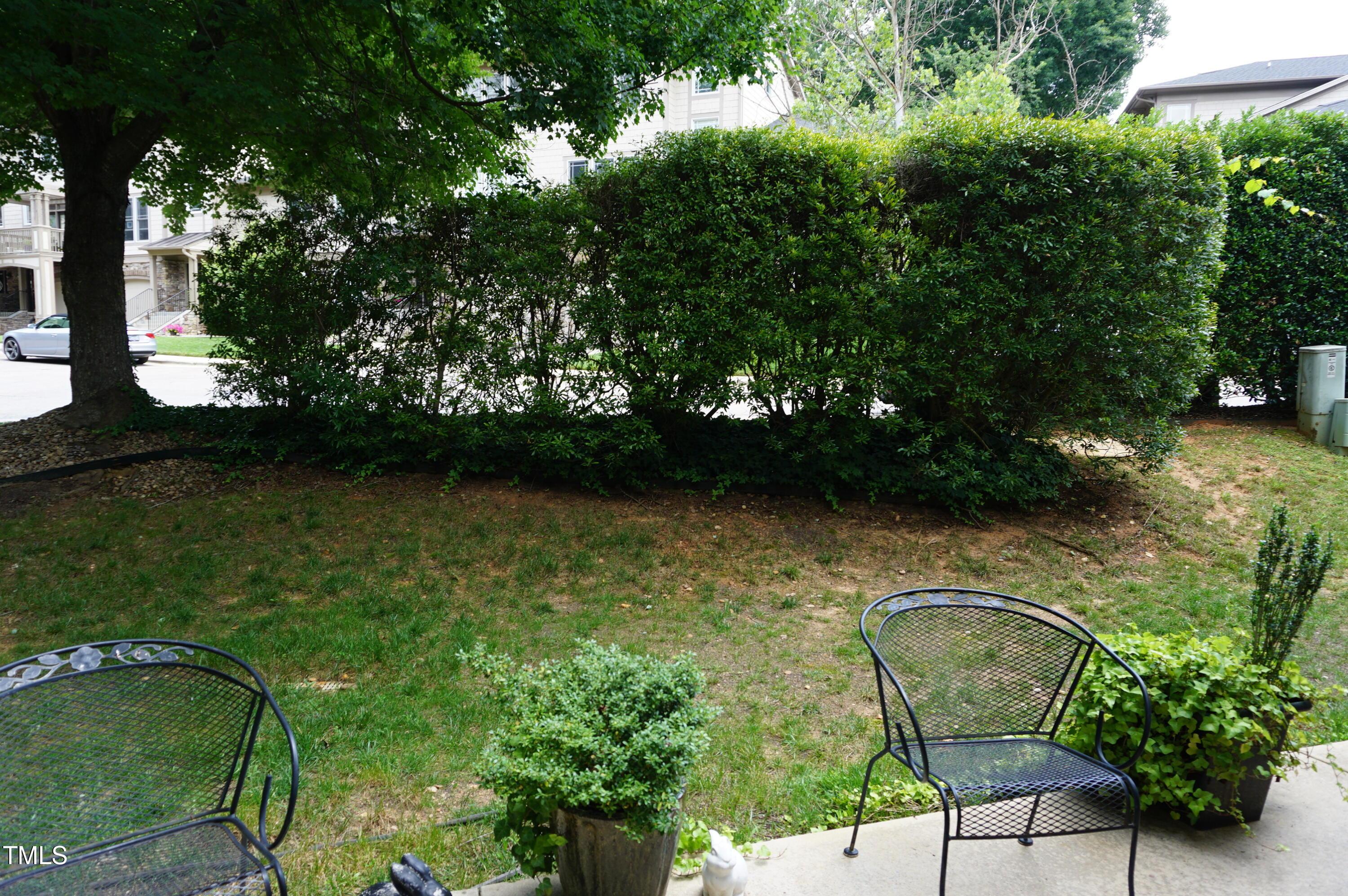 Photo #53