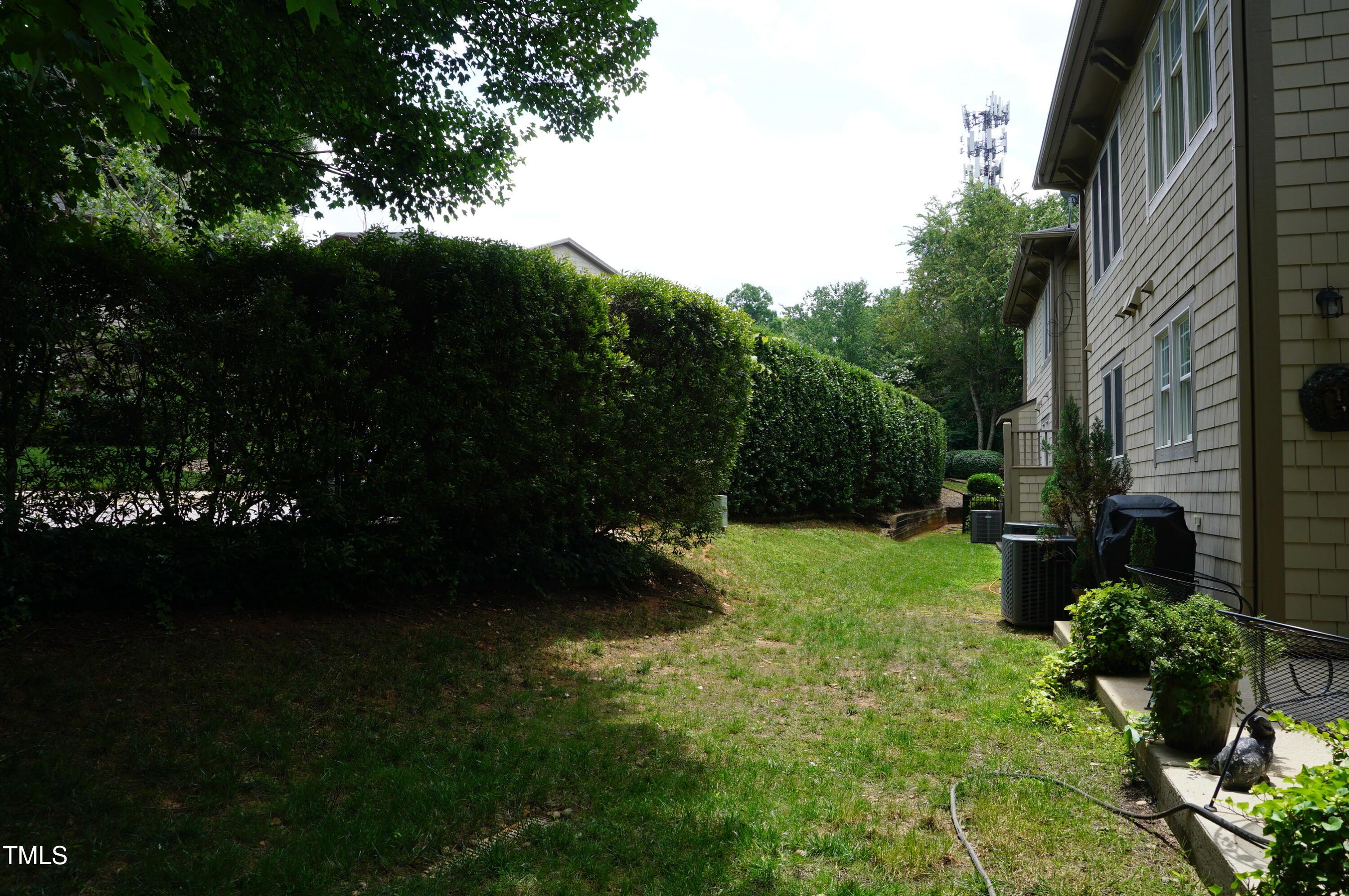 Photo #54