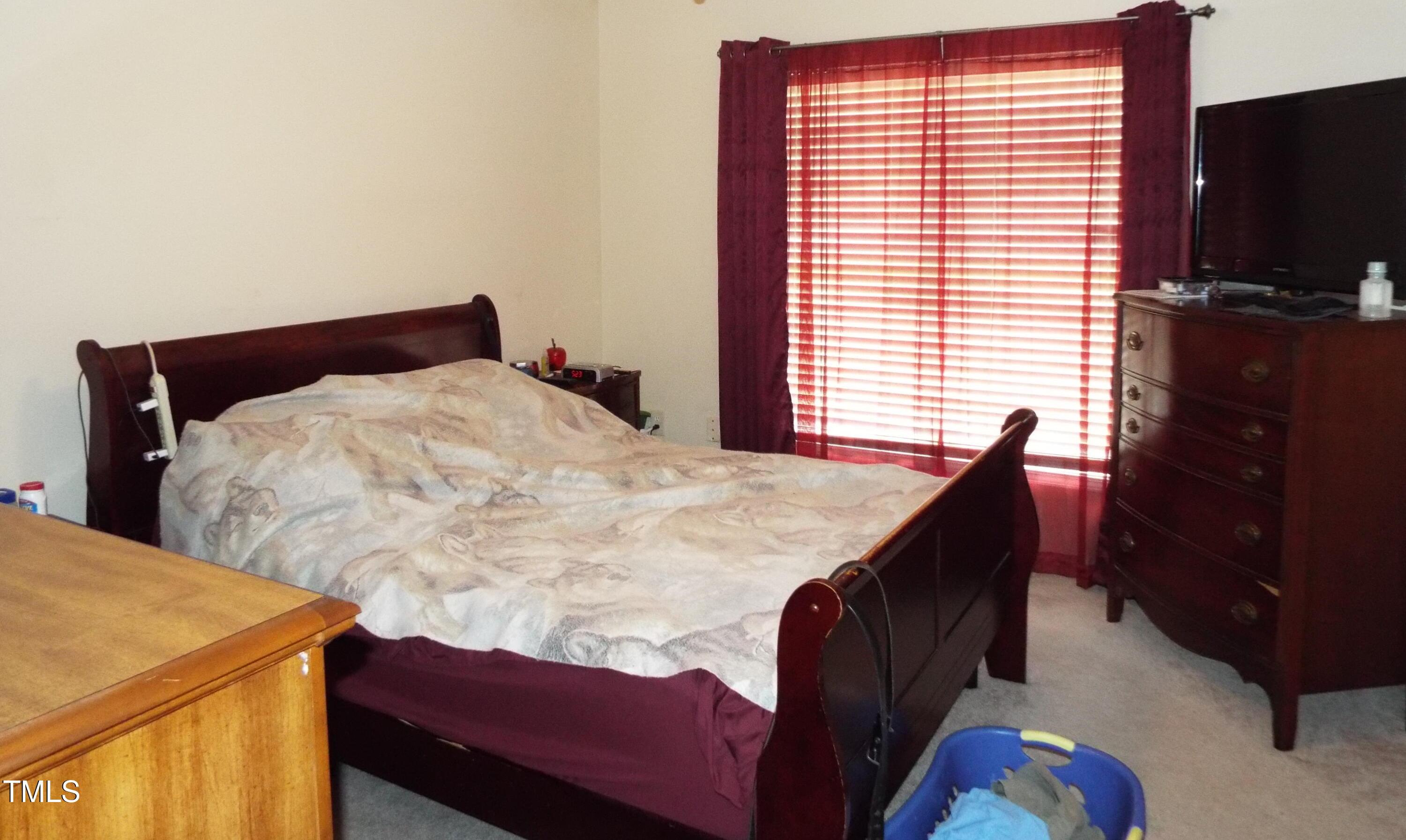 Photo #15