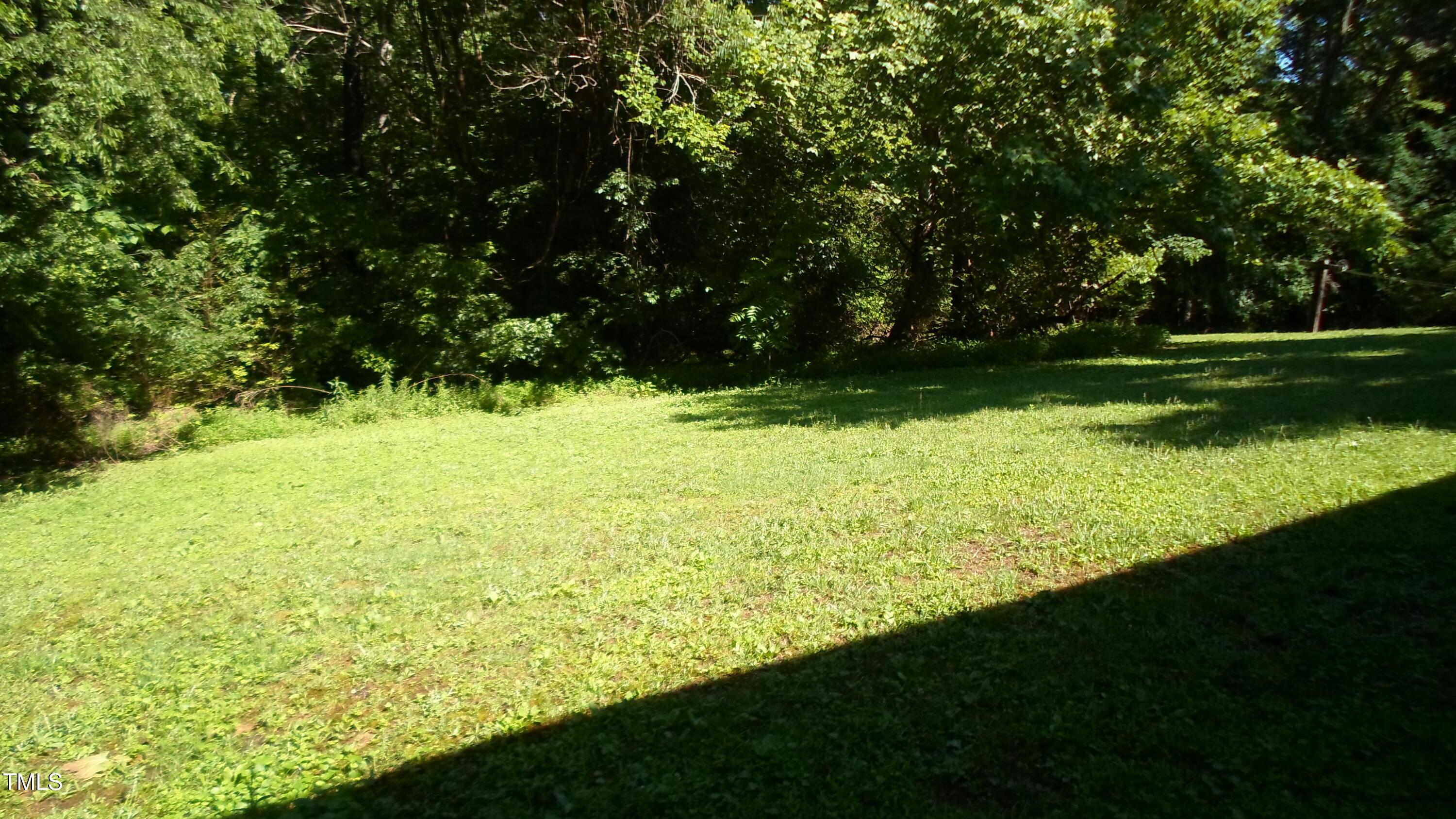 Photo #15