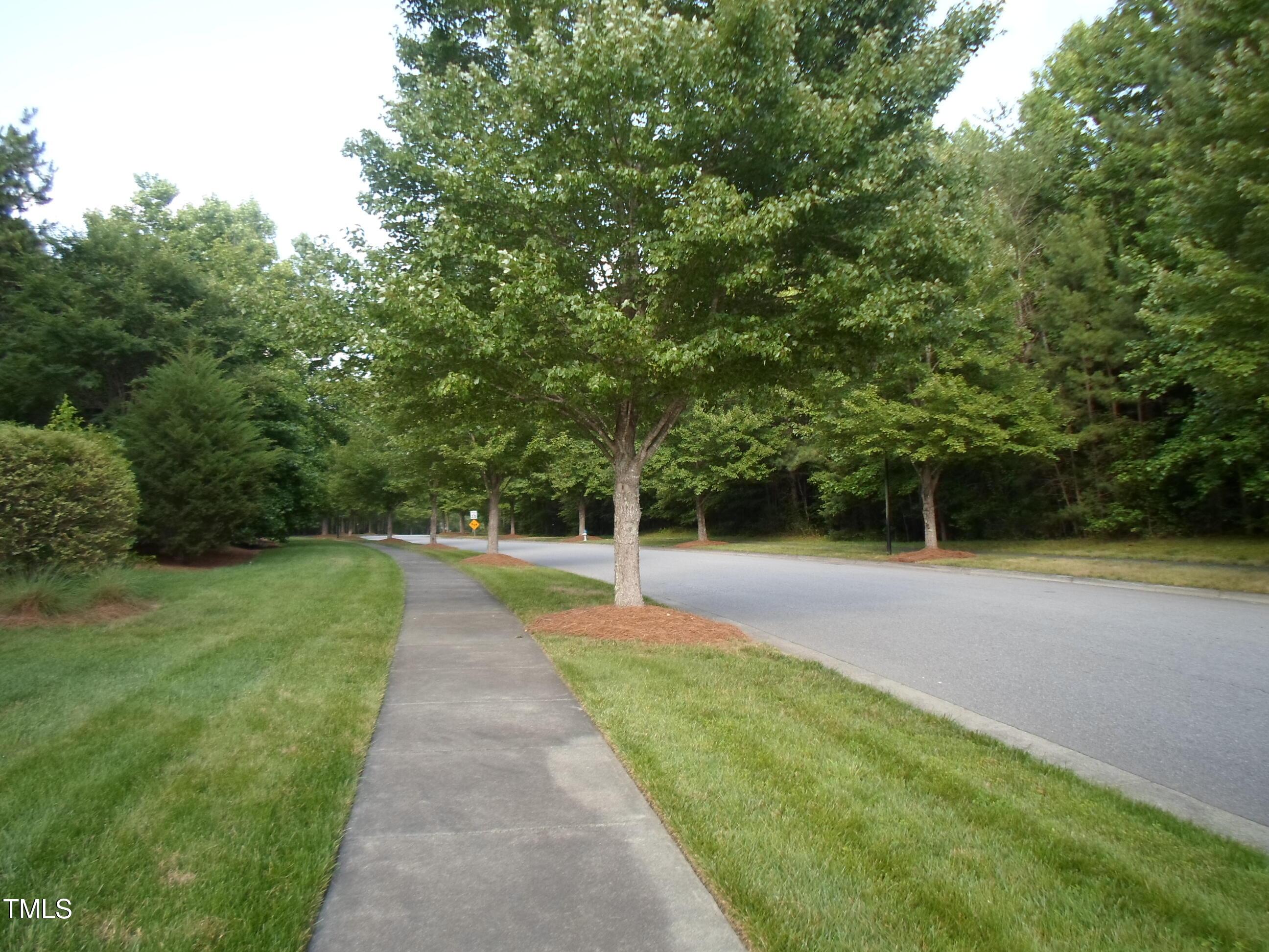 Photo #20