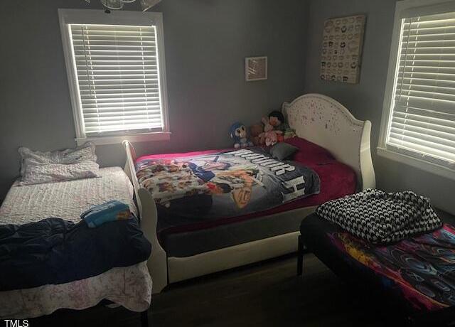 Photo #16
