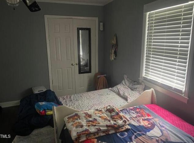 Photo #17