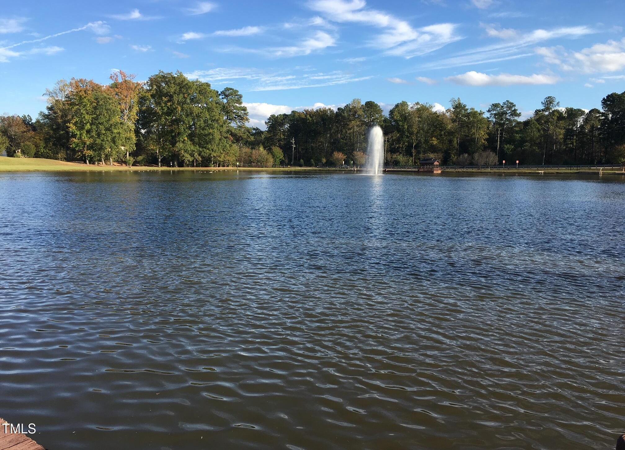 Photo #44