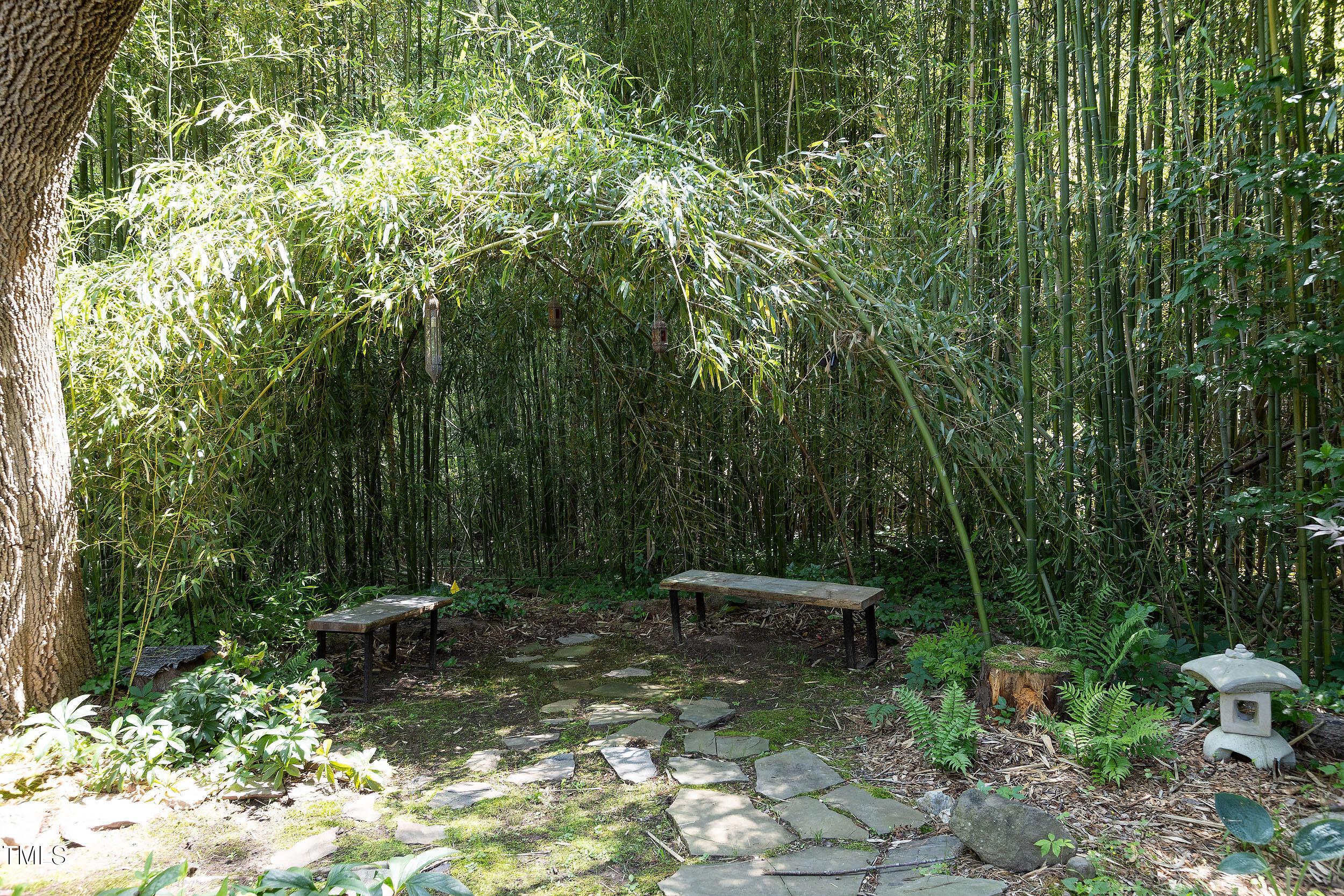 Photo #33
