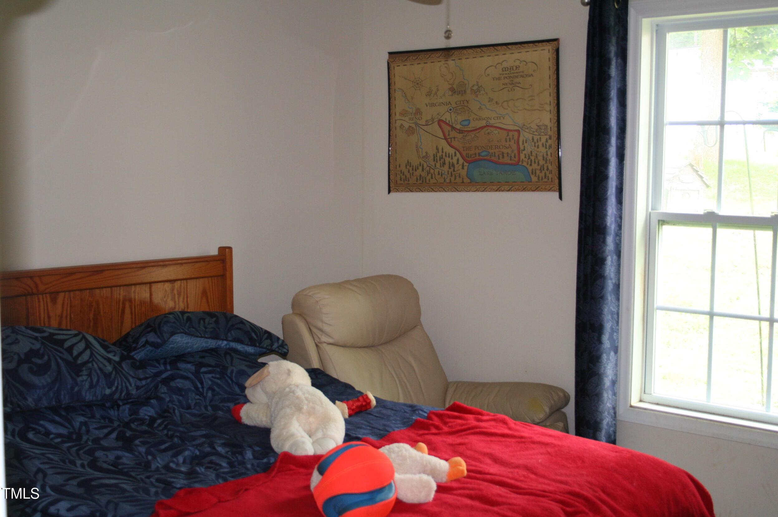 Photo #8