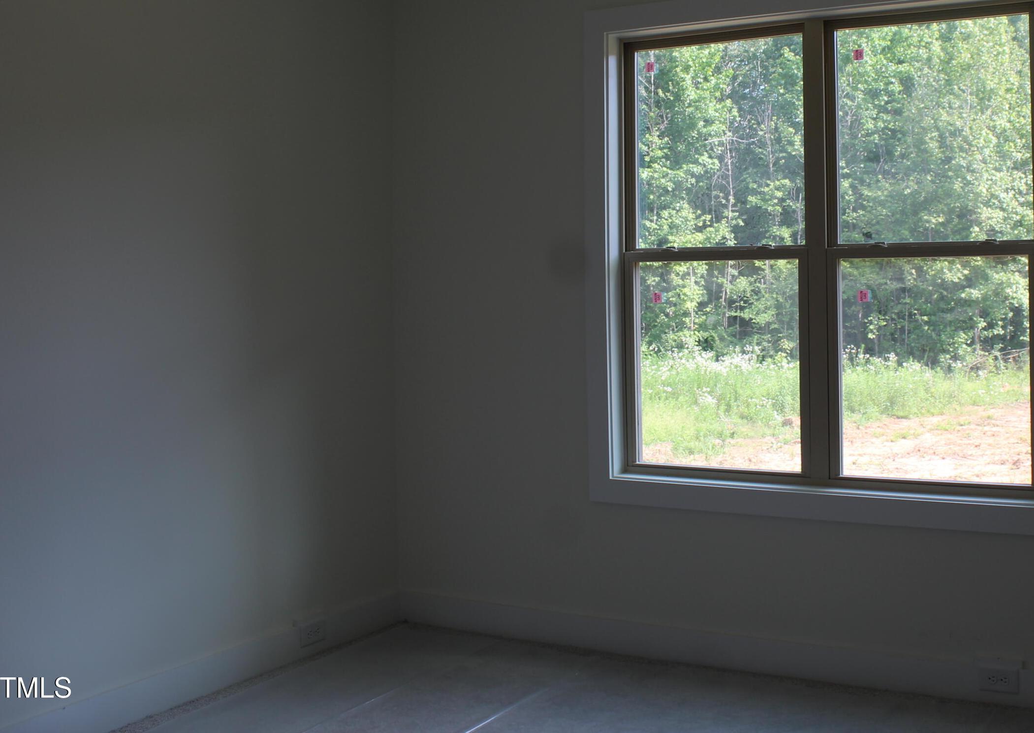 Photo #14
