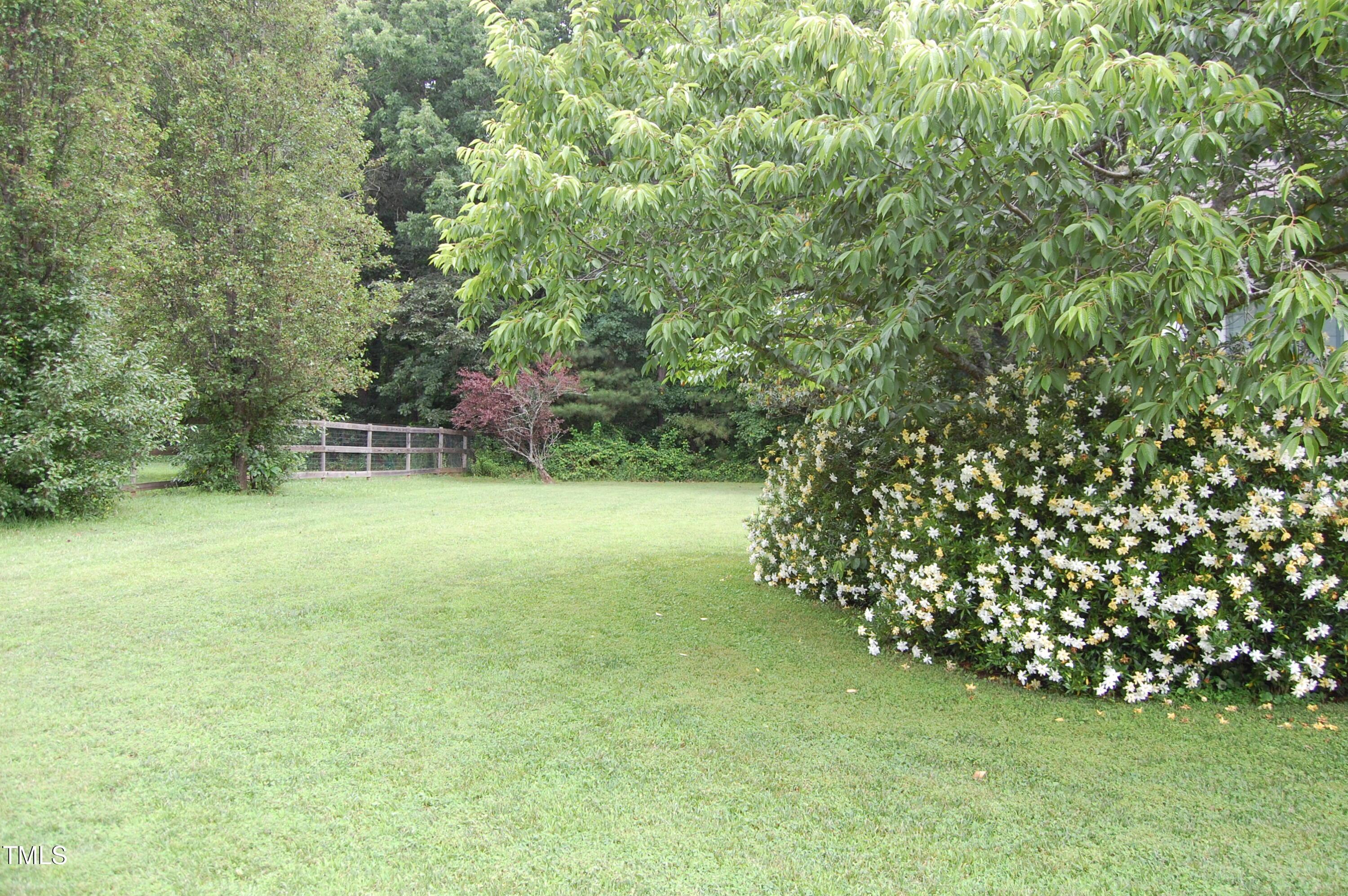 Photo #41