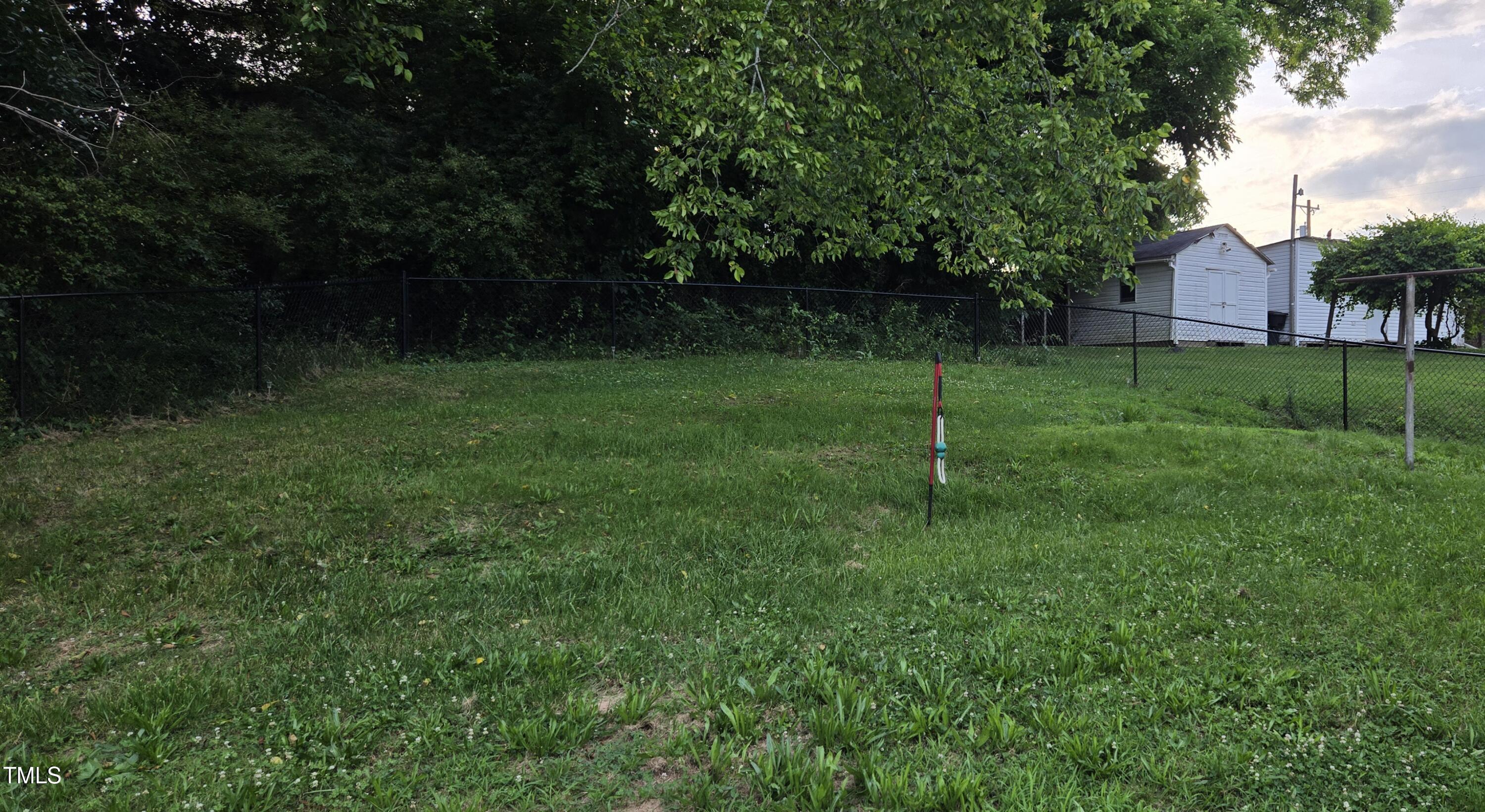 Photo #29