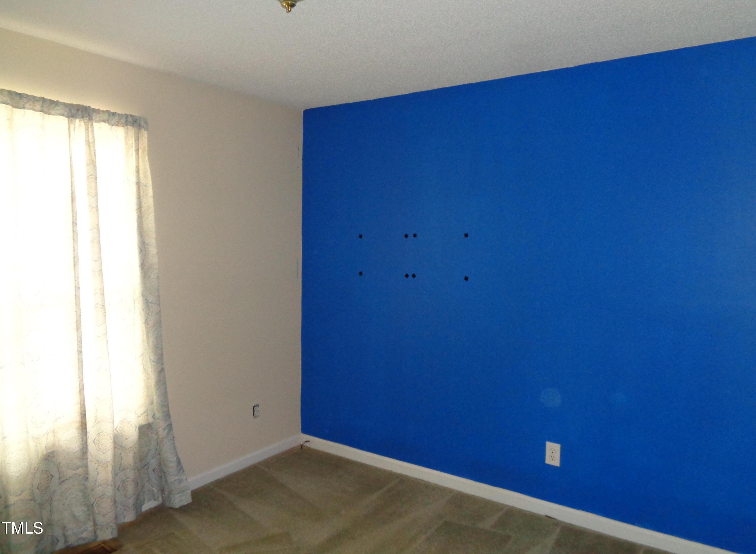 Photo #14