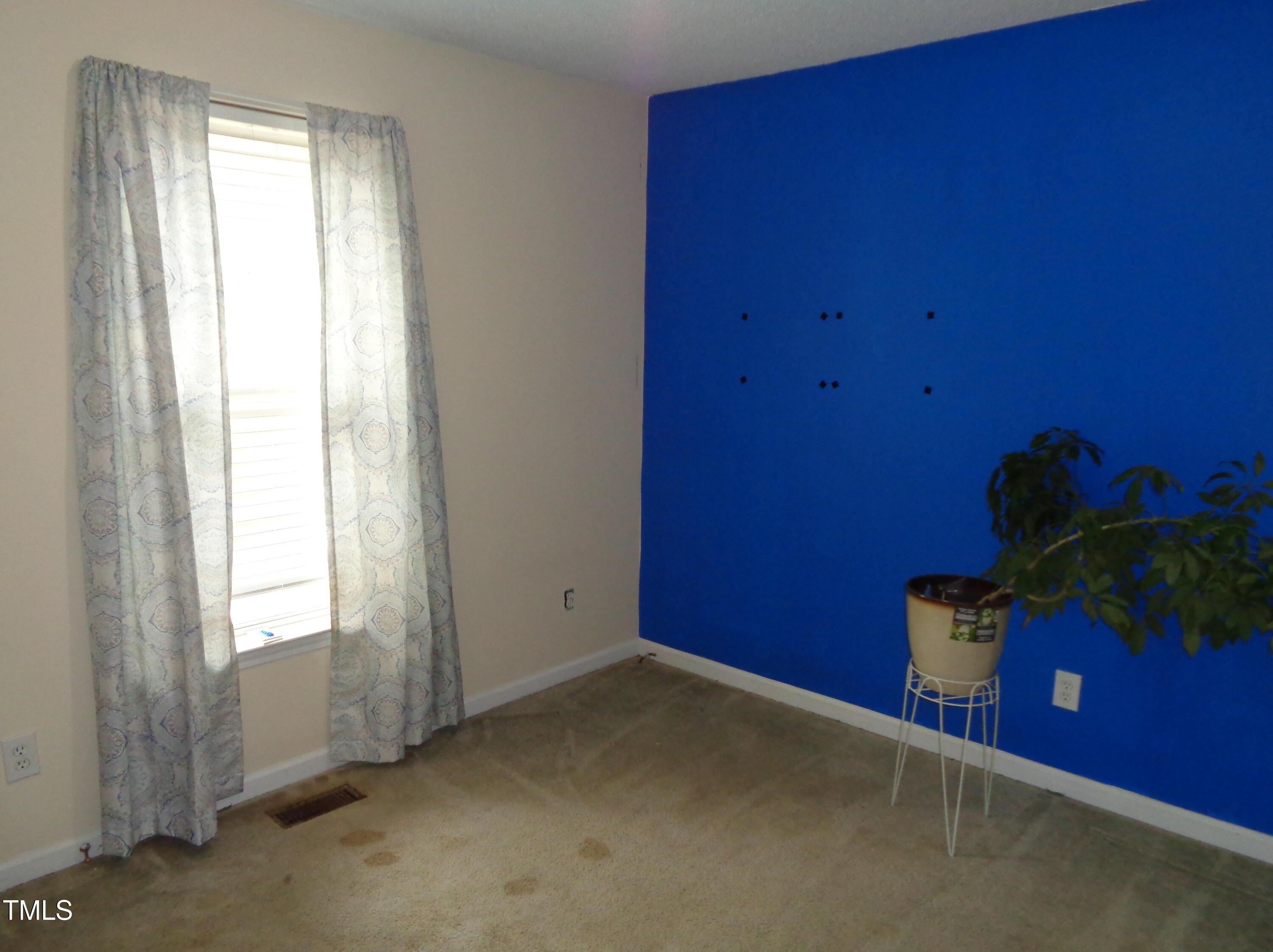 Photo #12