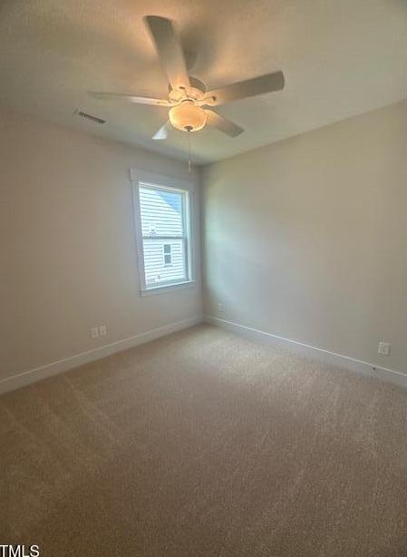 Photo #5