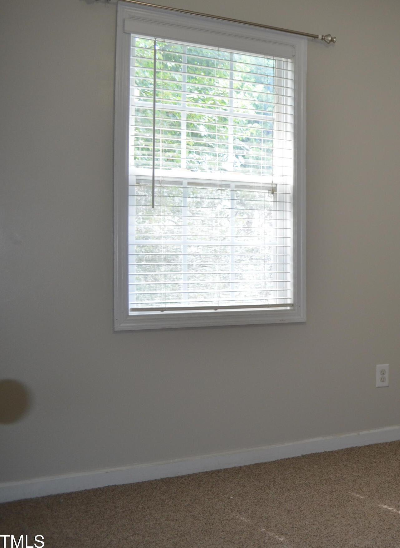 Photo #20