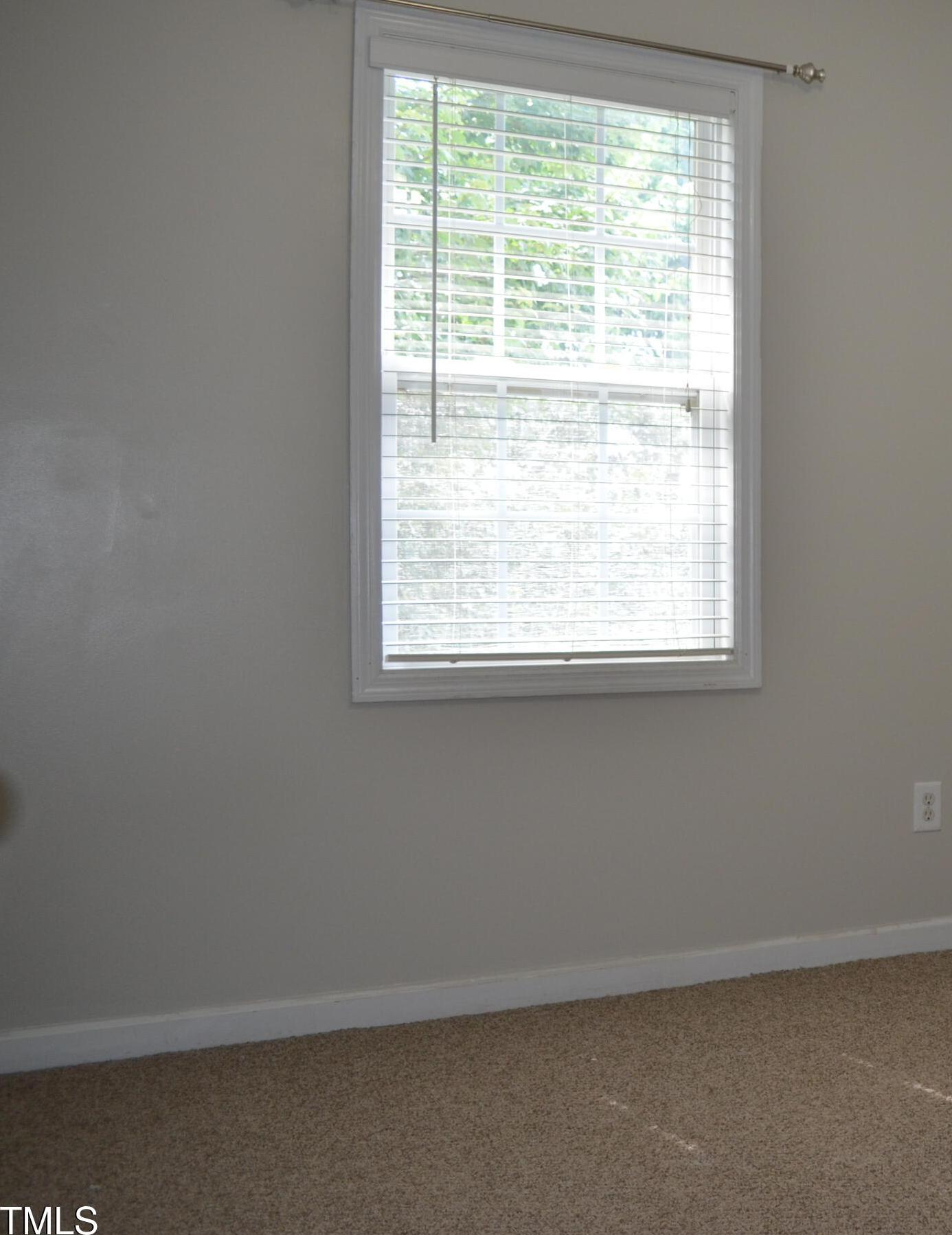 Photo #21