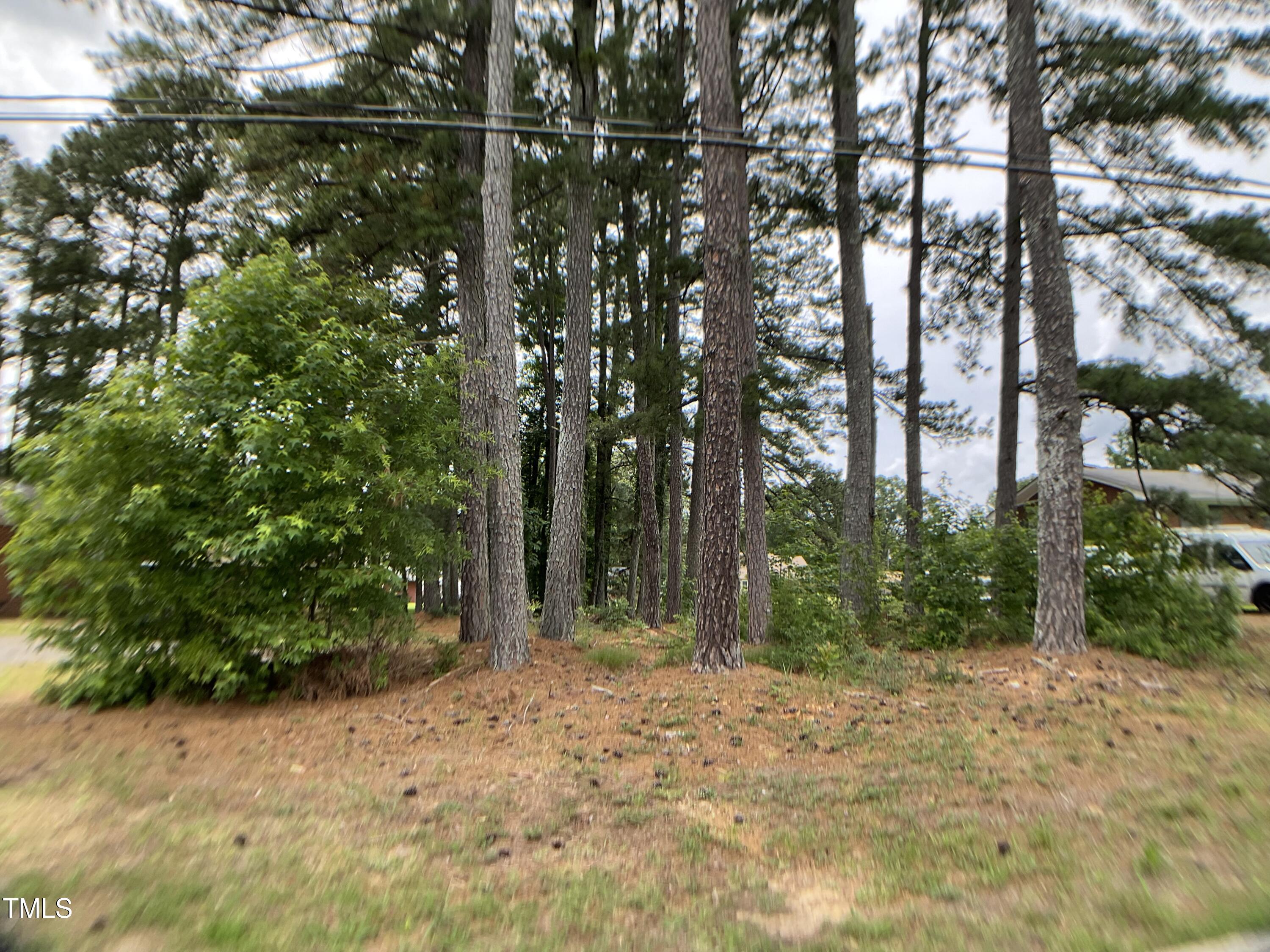 Photo #21