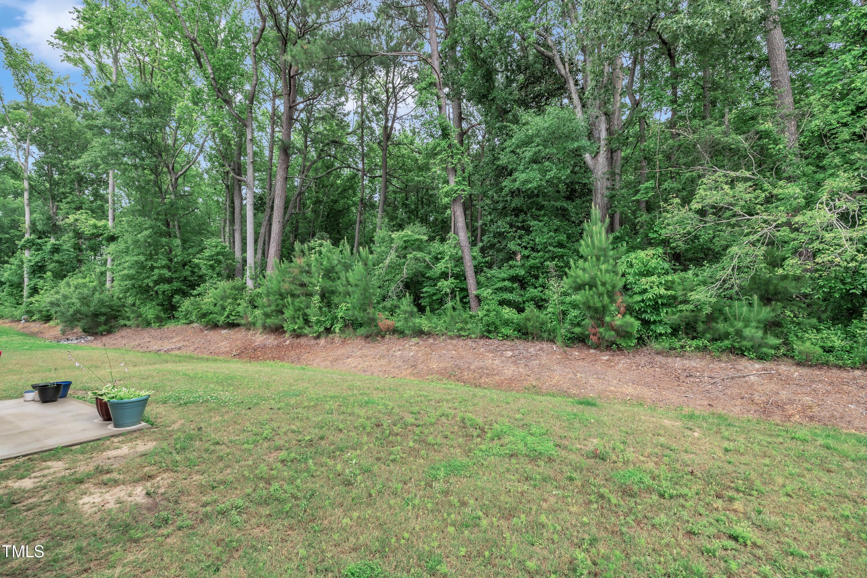 Photo #38